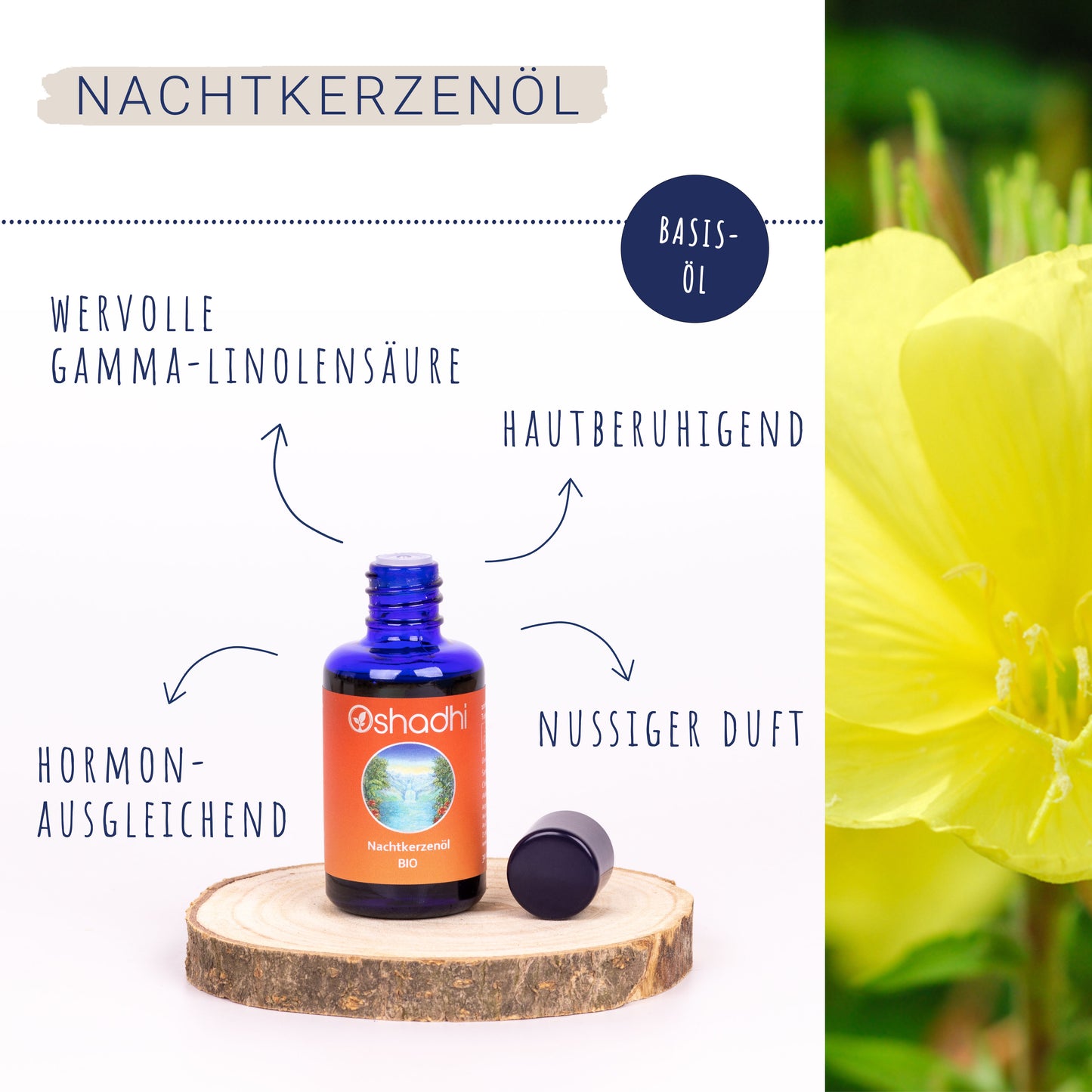 Nachtkerzenöl EU-bio