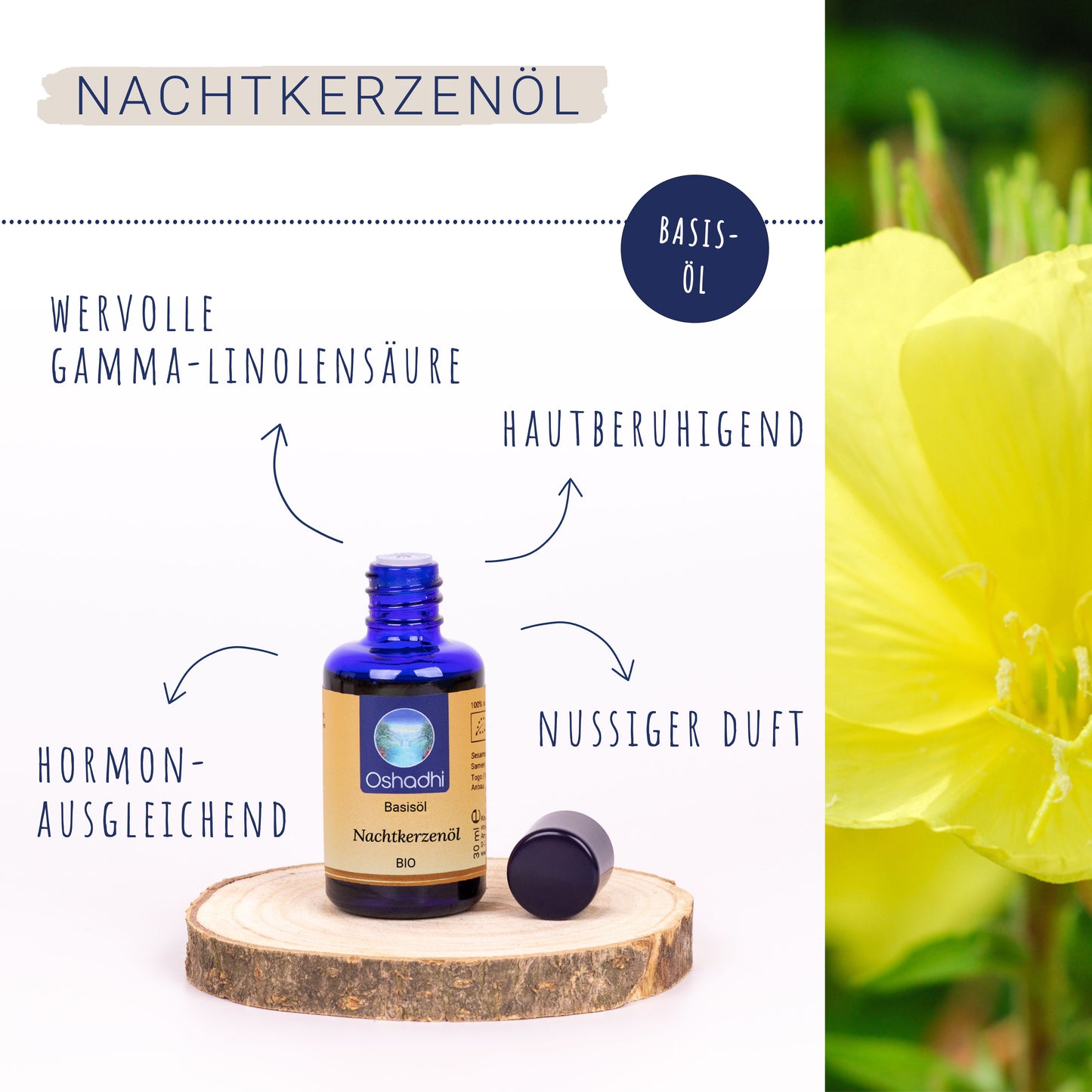 Nachtkerzenöl EU-bio