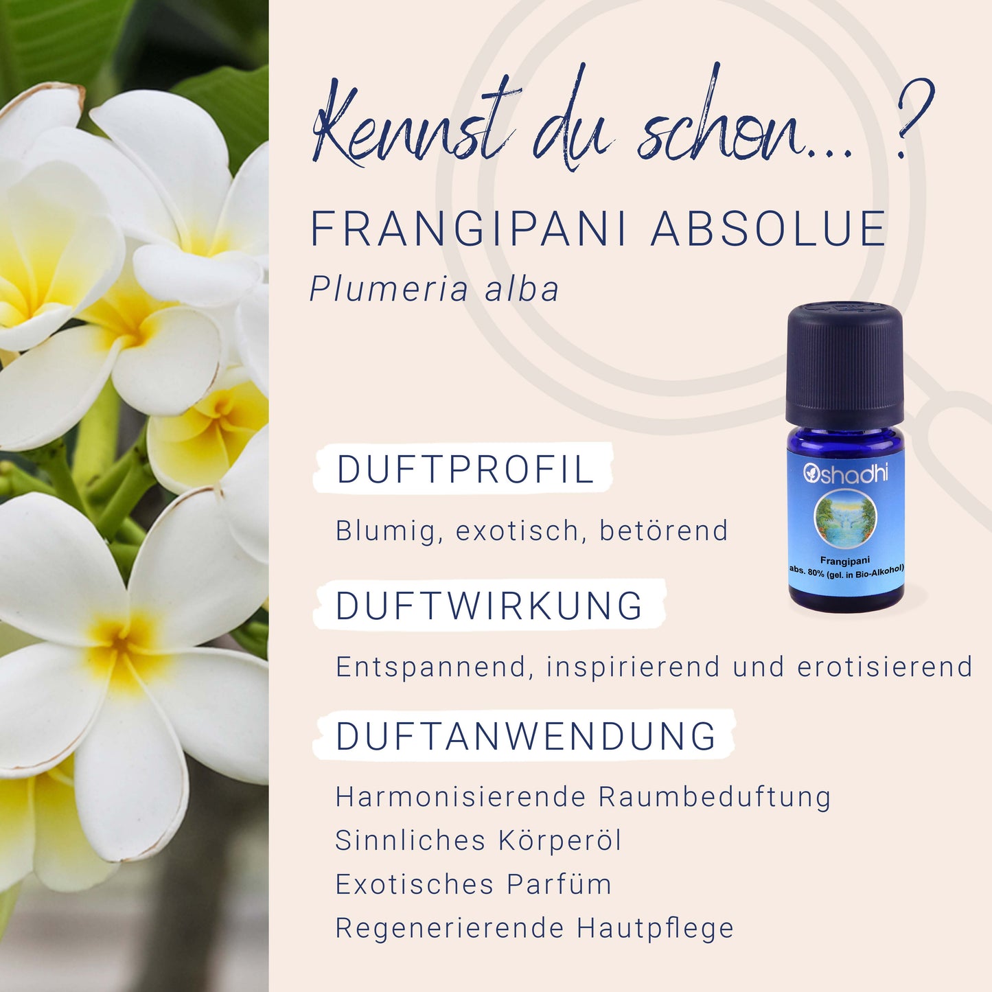 Frangipani Öl absolute 80% (gel. in Bio-Alkohol)