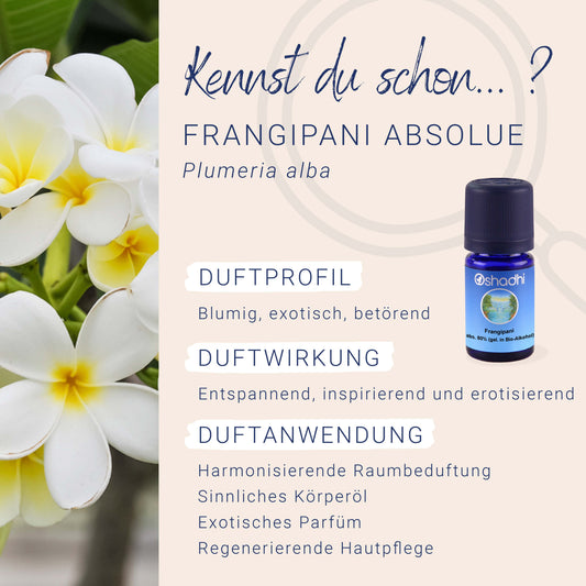 Frangipani Öl absolute 80% (gel. in Bio-Alkohol)