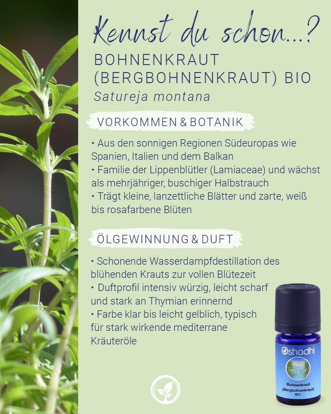 Bergbohnenkrautöl EU-bio
