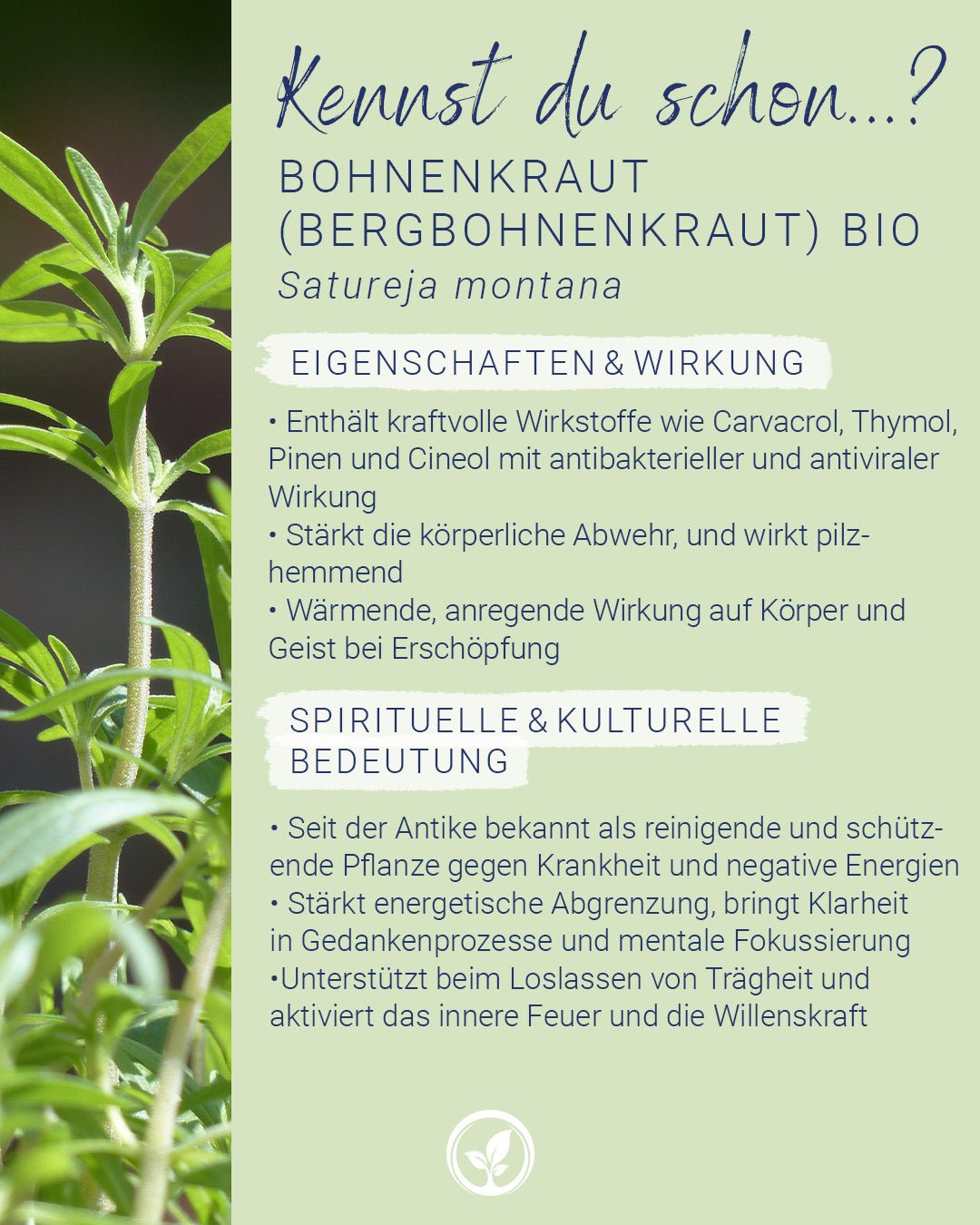 Bergbohnenkrautöl EU-bio