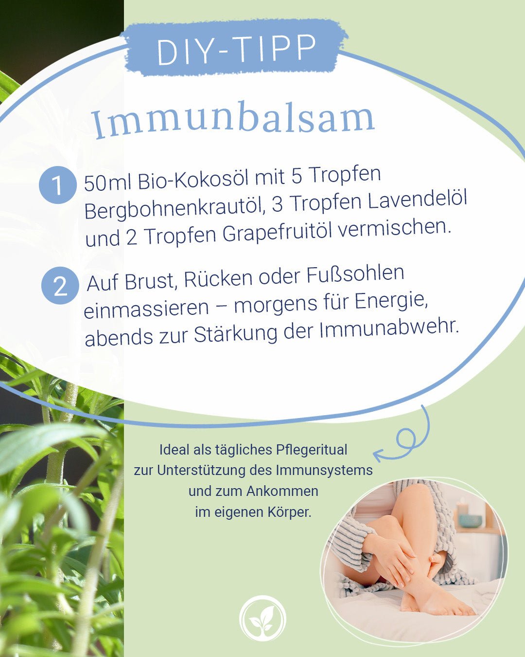 Bergbohnenkrautöl EU-bio