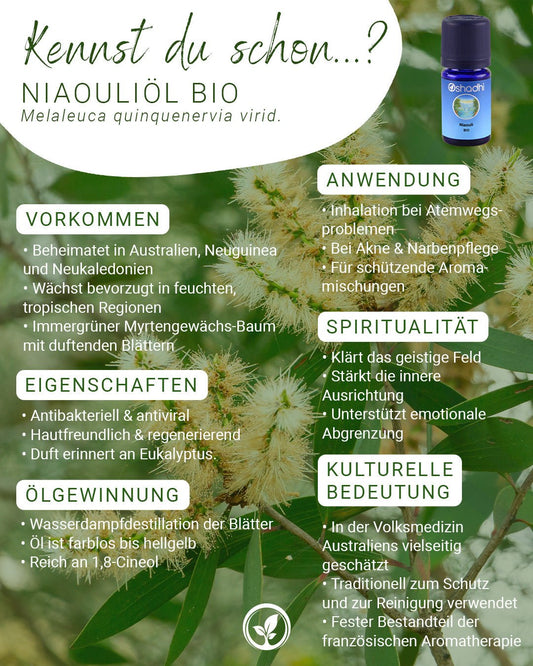 Niaouliöl bio