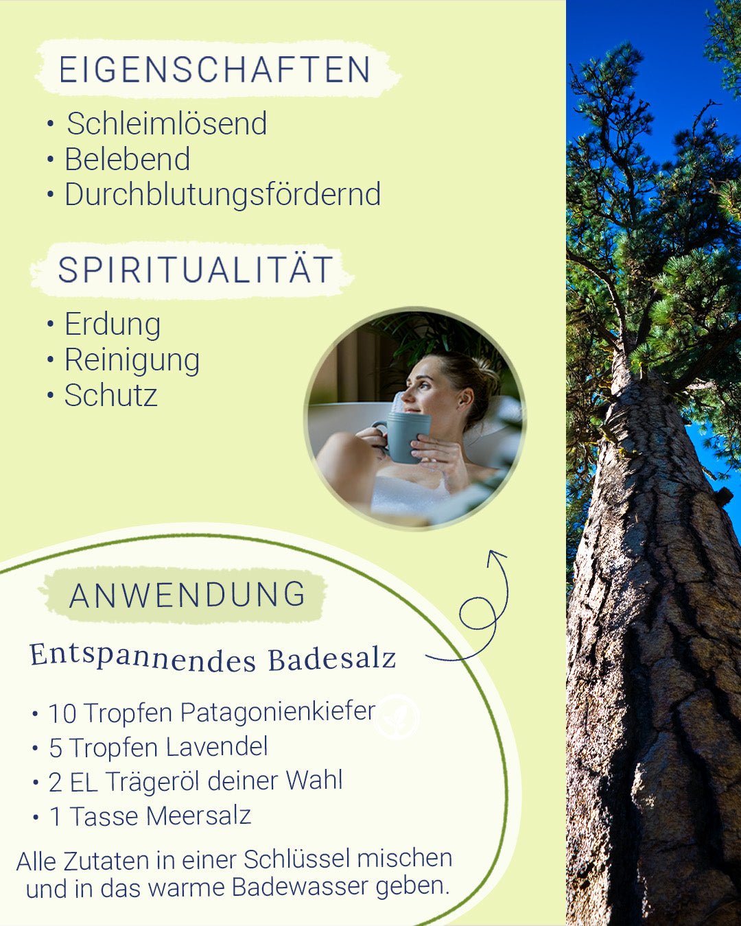 Kiefernöl (Patagonienkiefer)