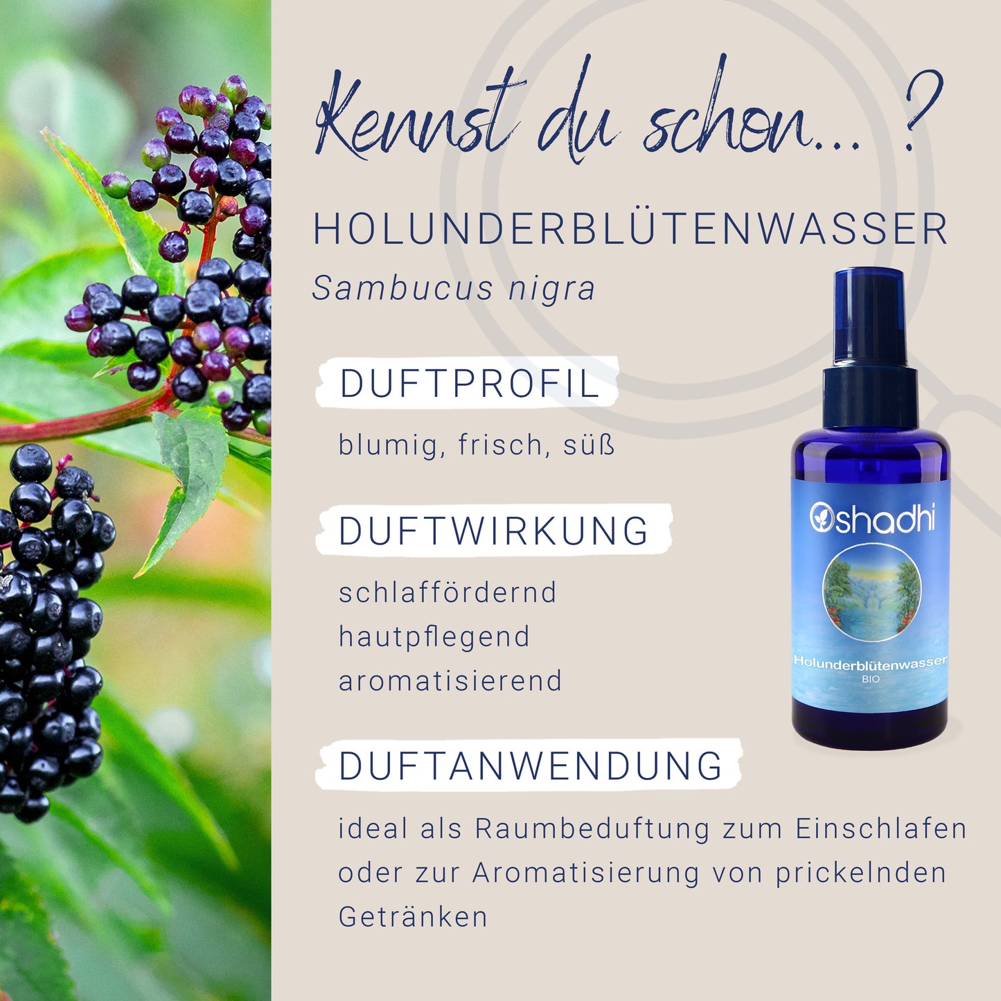 Holunderblütenwasser EU-bio