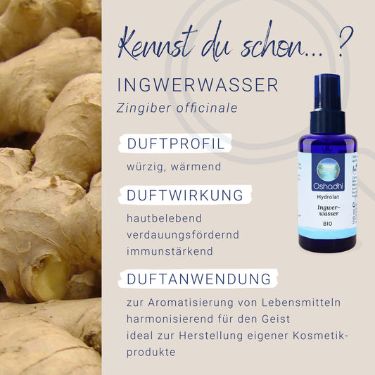 Ingwerwasser EU-bio