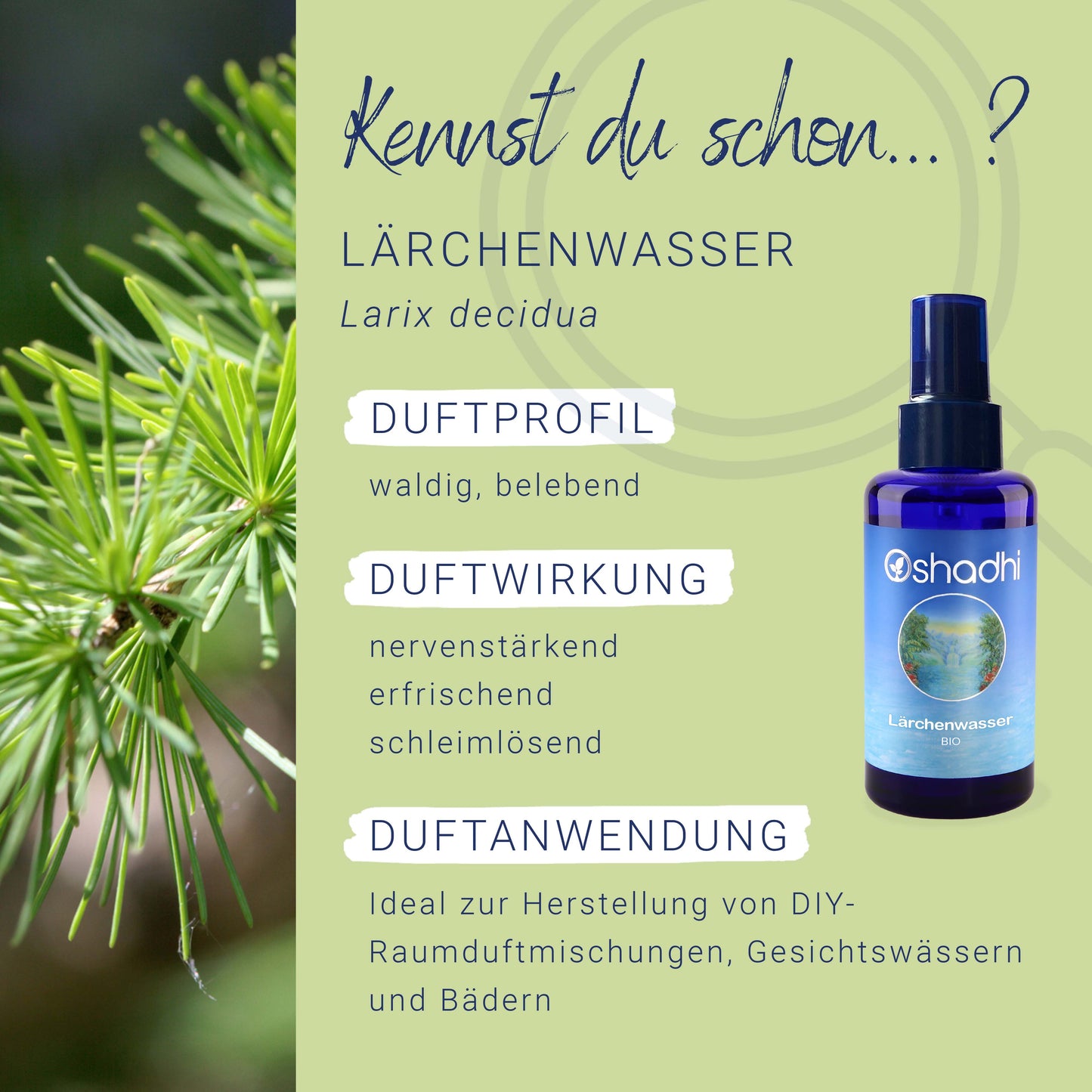 Lärchenwasser bio