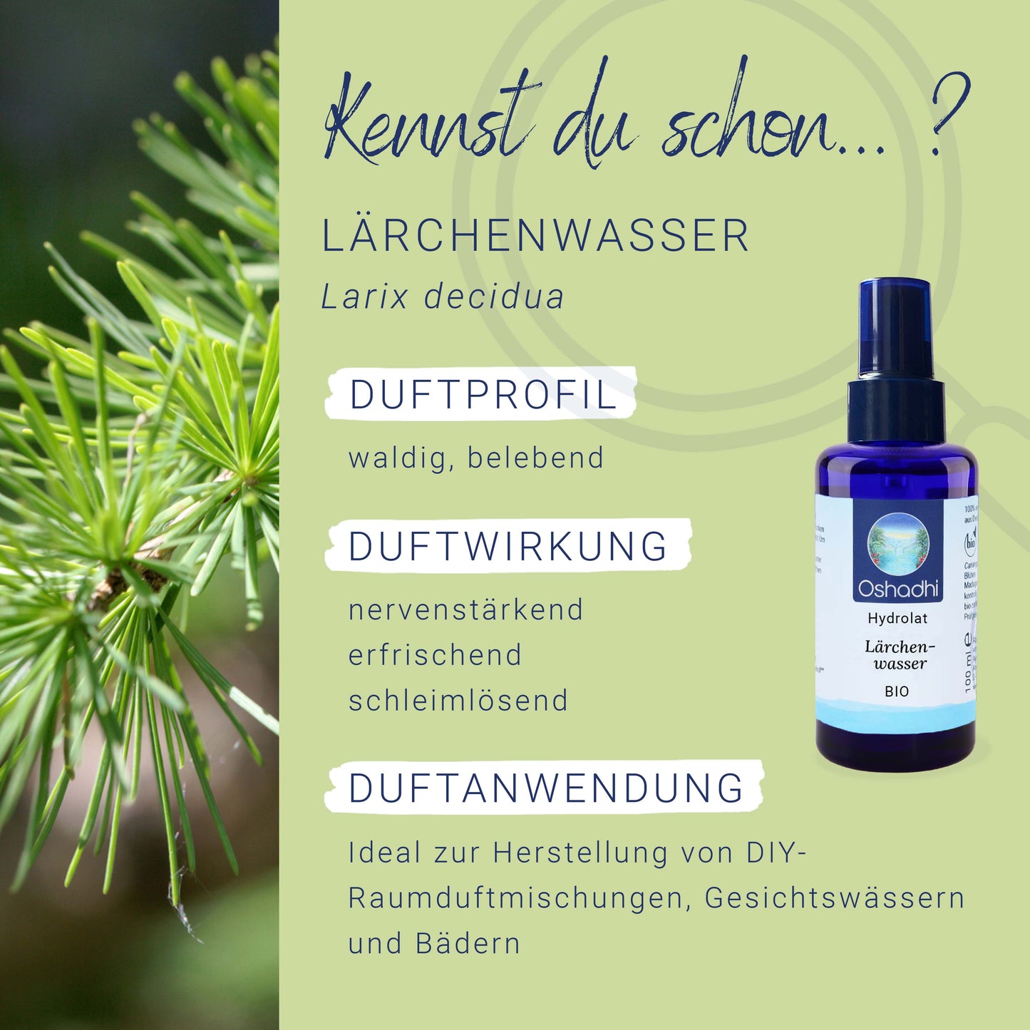 Lärchenwasser bio