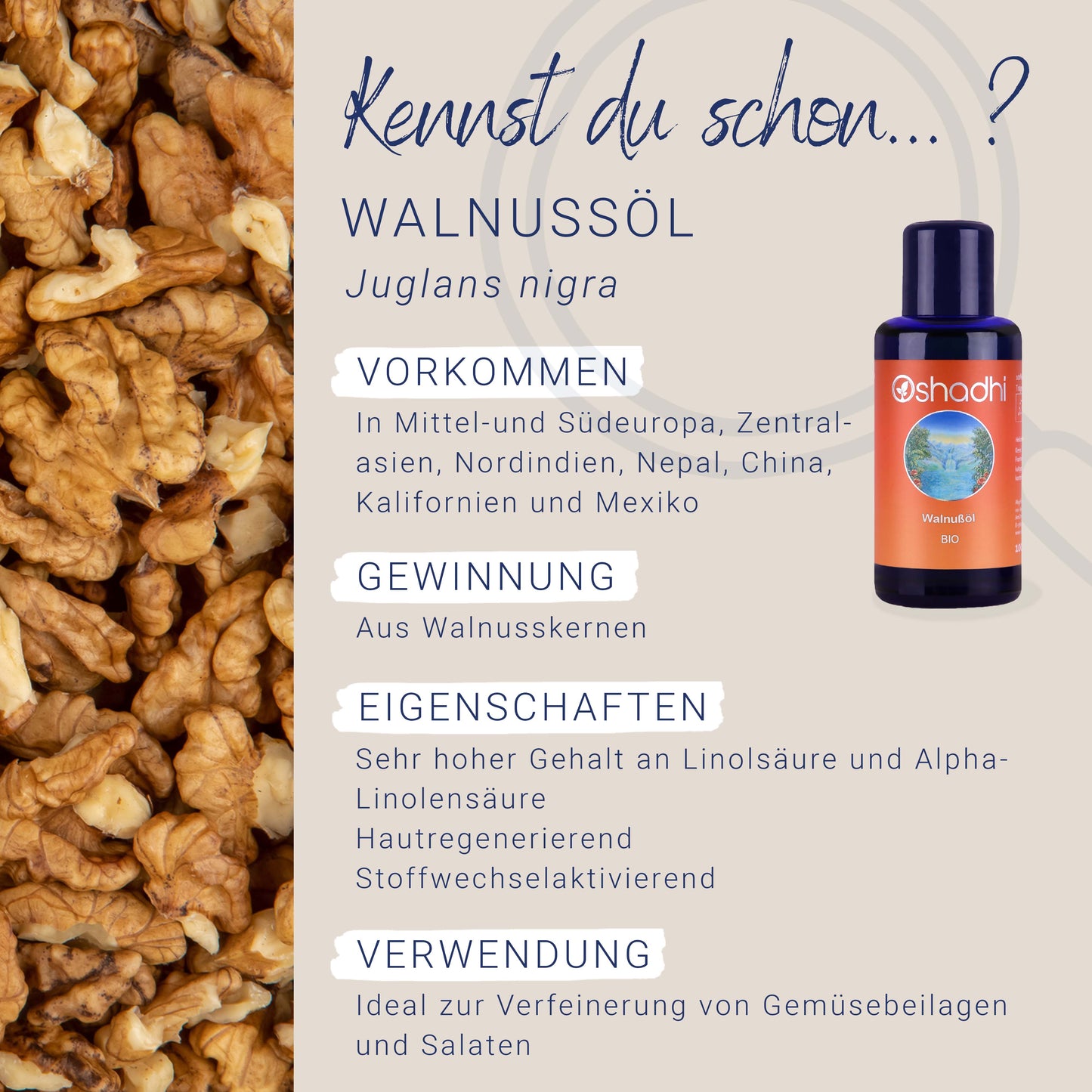 Walnußöl EG-bio