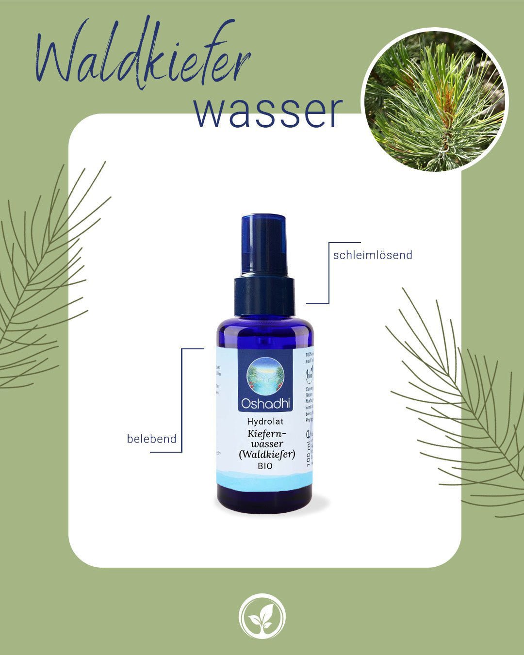 Kiefernwasser (Waldkiefer) EU-bio