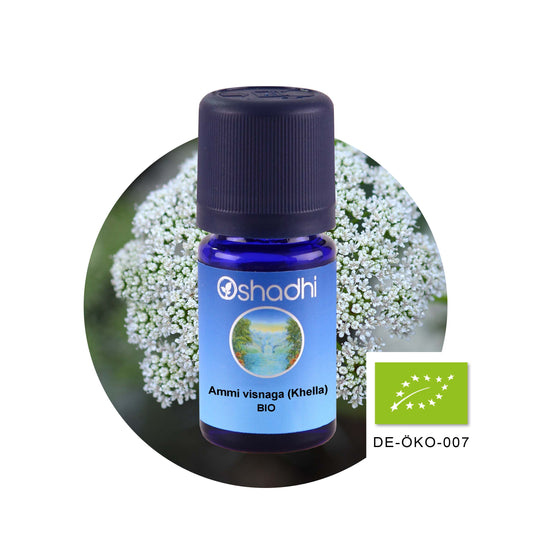 Ammi Visnaga Öl bio (Khella)