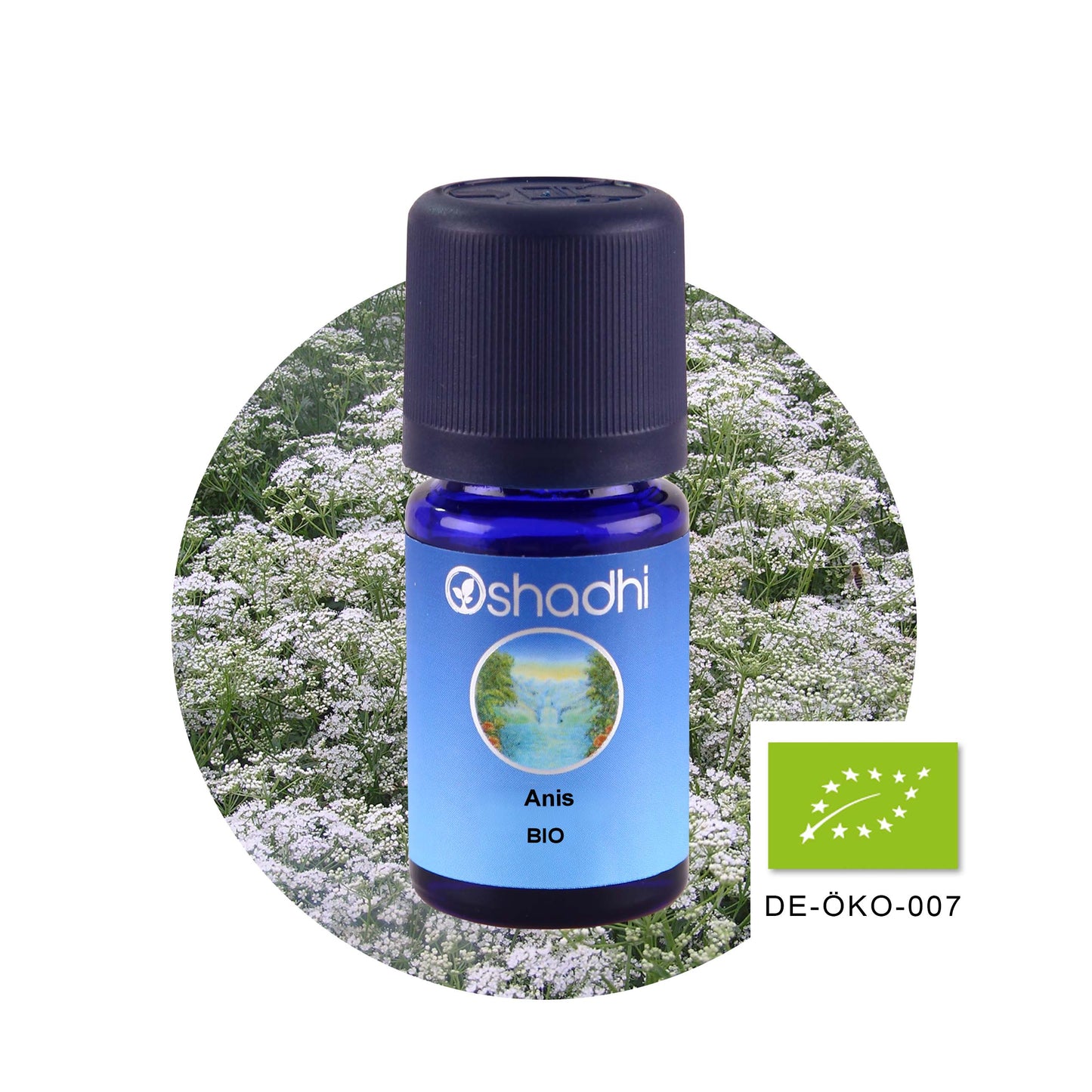 Anisöl EU-Bio