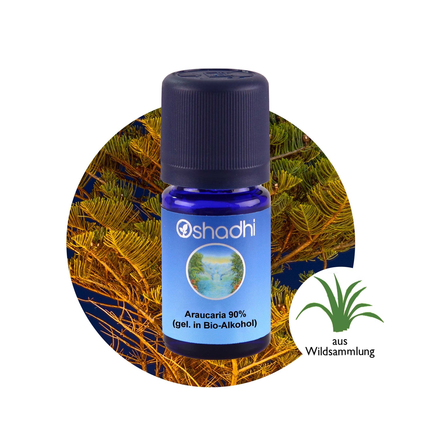 Araucaria 90% (gel. in Bio-Alkohol)