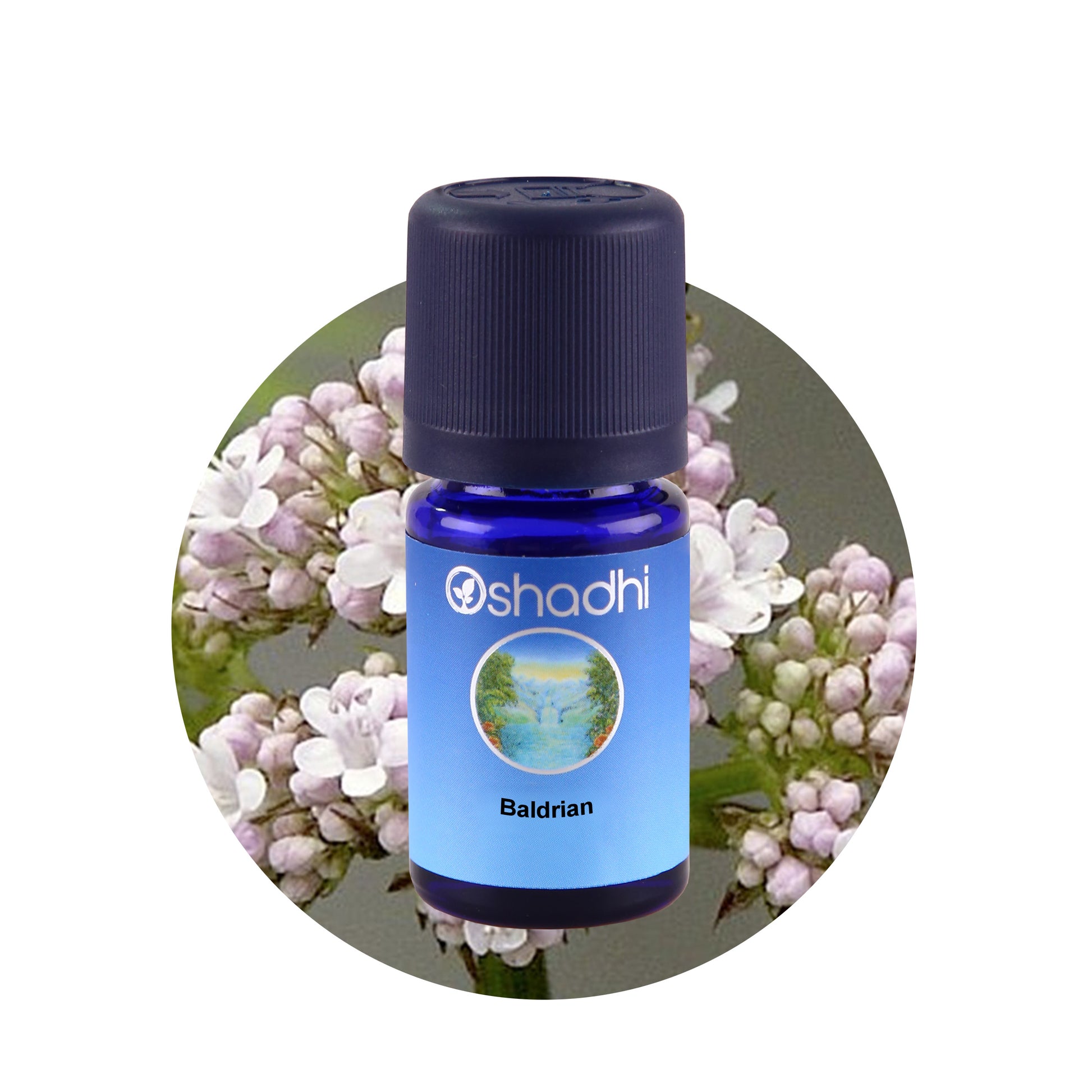 Ätherisches Öl - Baldrian