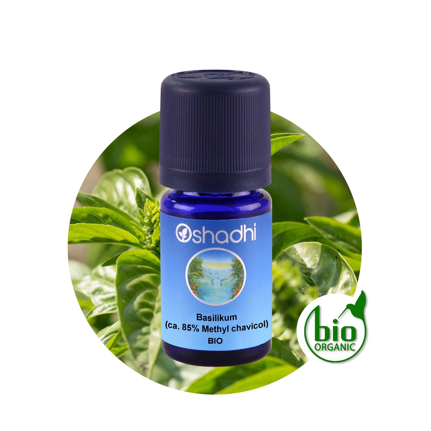 Basilikumöl (Methylchavicol) EU-bio