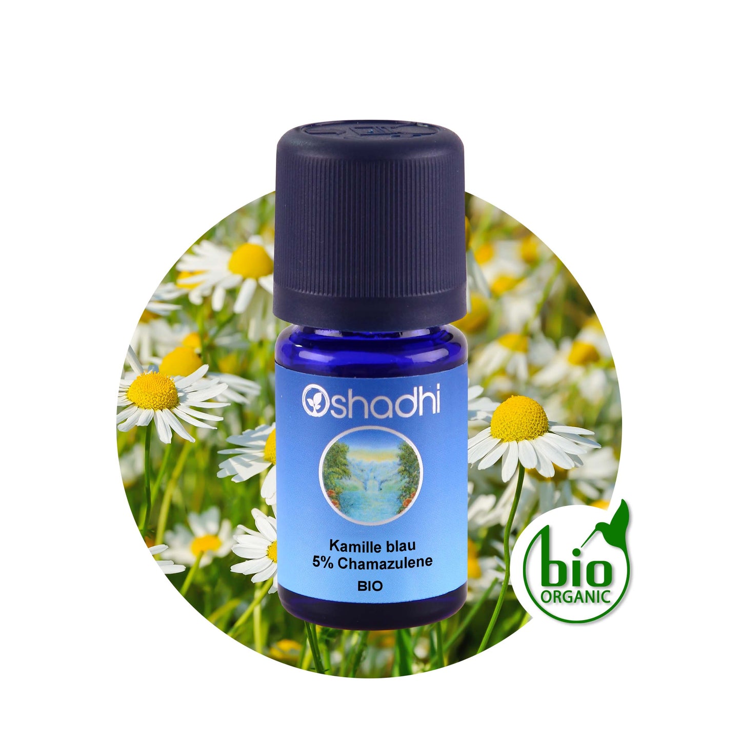 Kamilleöl blau EU-bio 5% Chamazulene