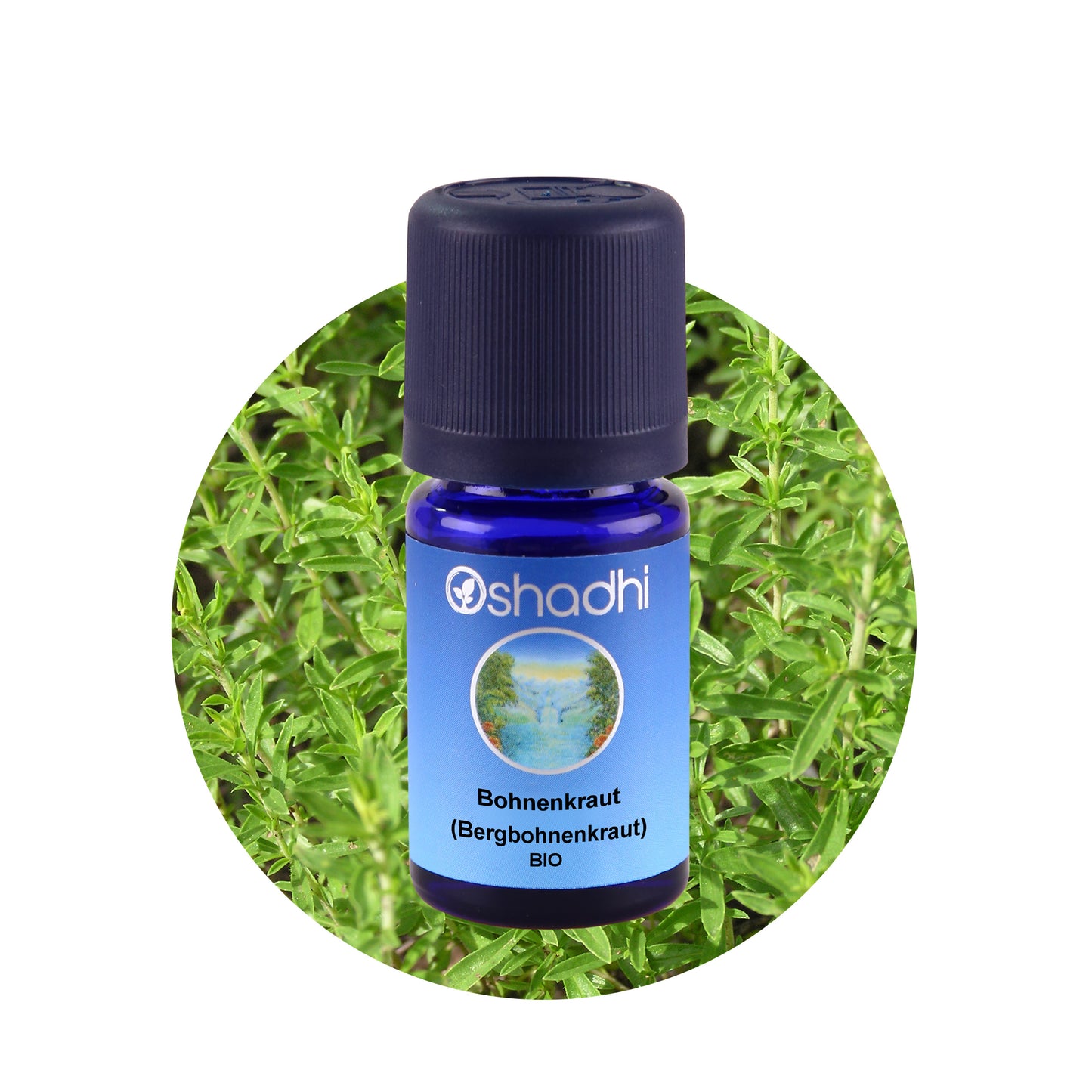 Ätherisches Öl - Bohnenkraut (Bergbohnenkraut) EG-bio