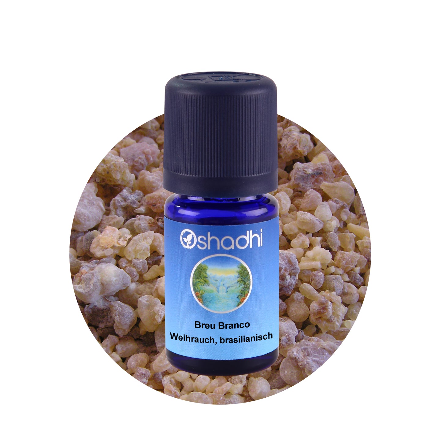 Ätherisches Öl - Breu Branco - Weihrauch, brasilianisch