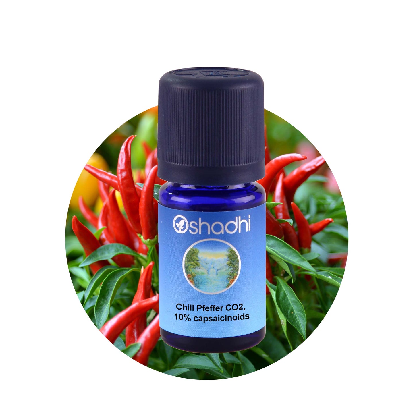 Chili Pfeffer Öl bio, CO2 10% capsaicinoids