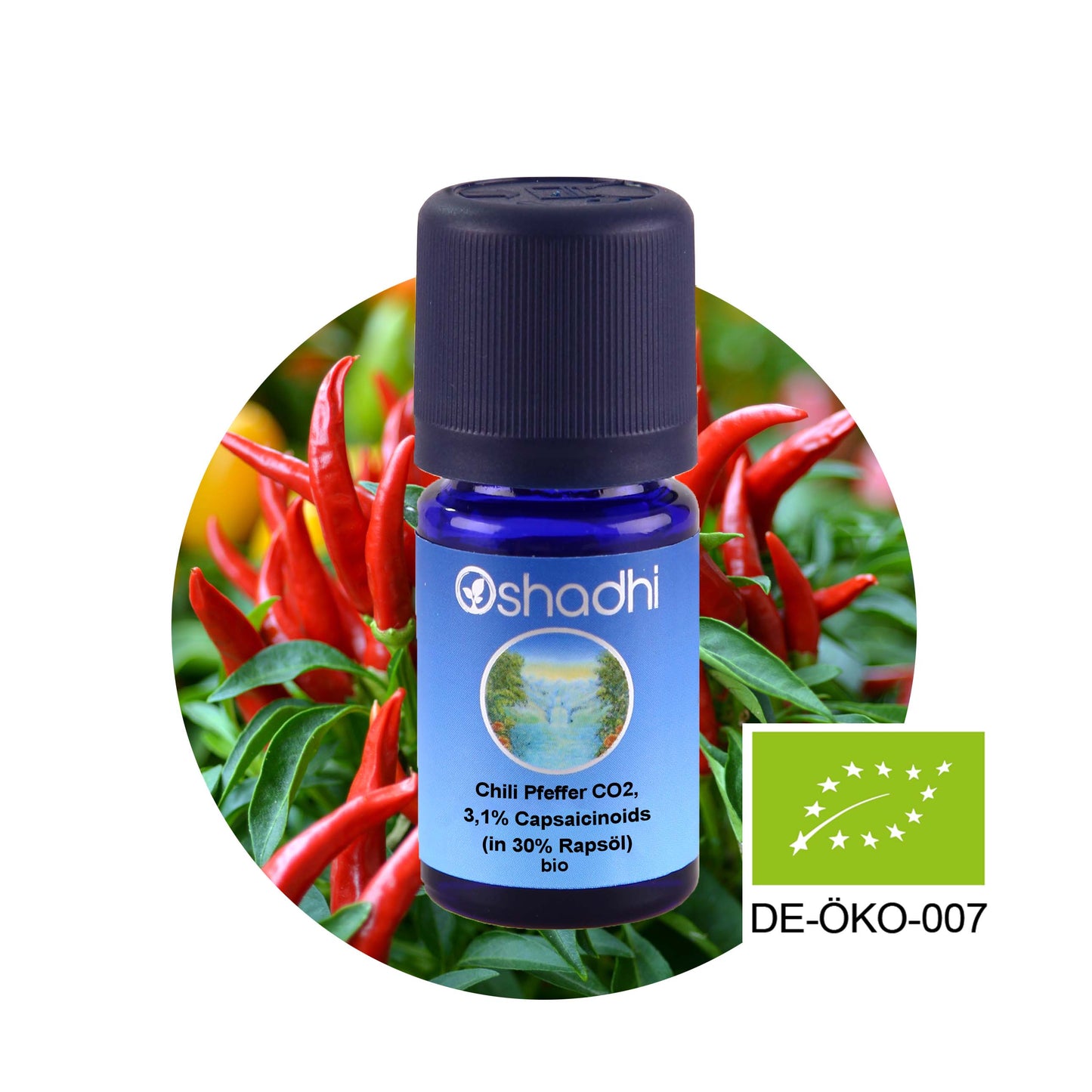 Chili Pfeffer Öl EU-bio, CO2 3,1% Capsaicinoids (in 30% Rapsöl)