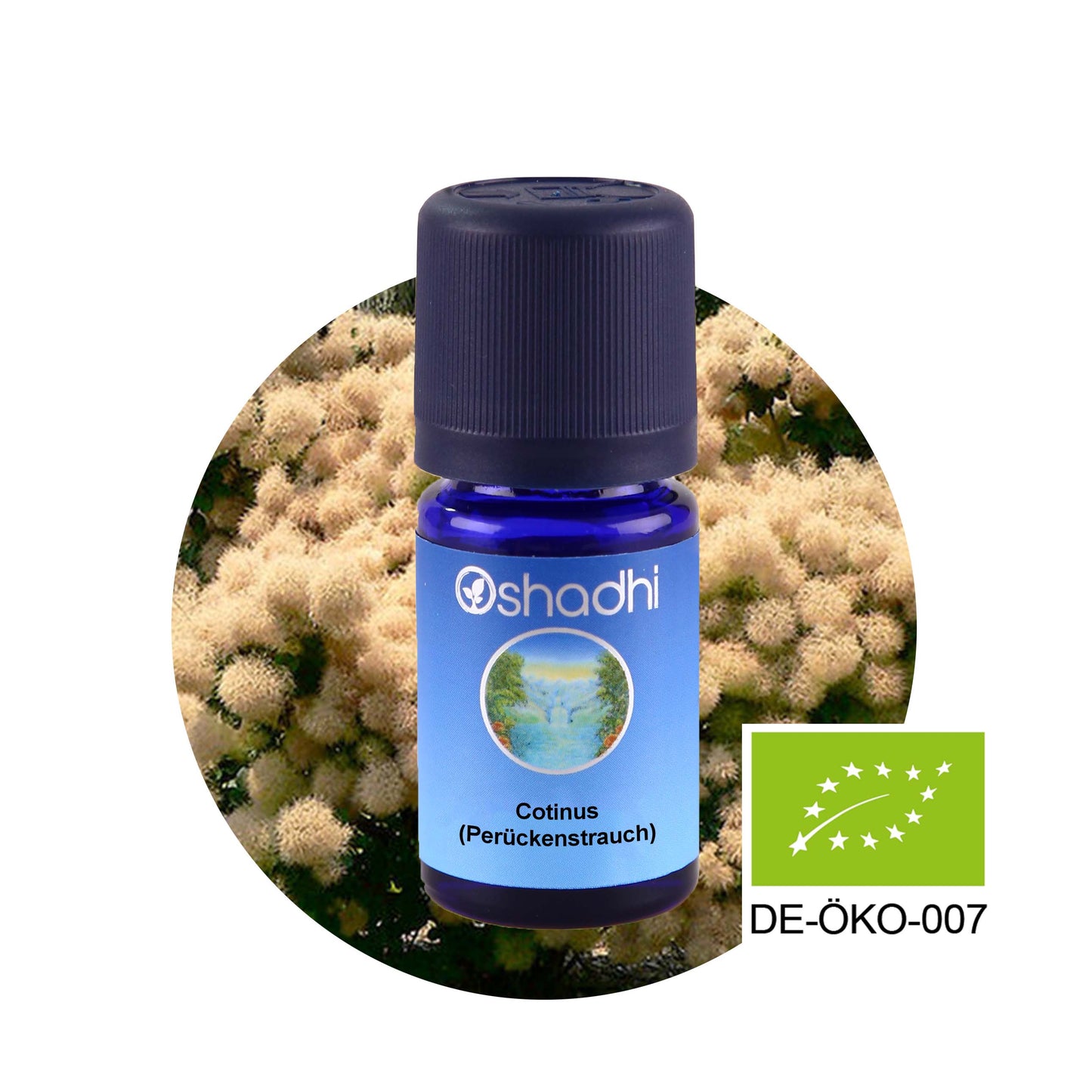 Cotinus-Öl (Perückenstrauch) EU-bio