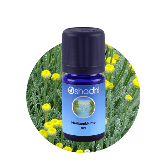 Heiligenblume bio