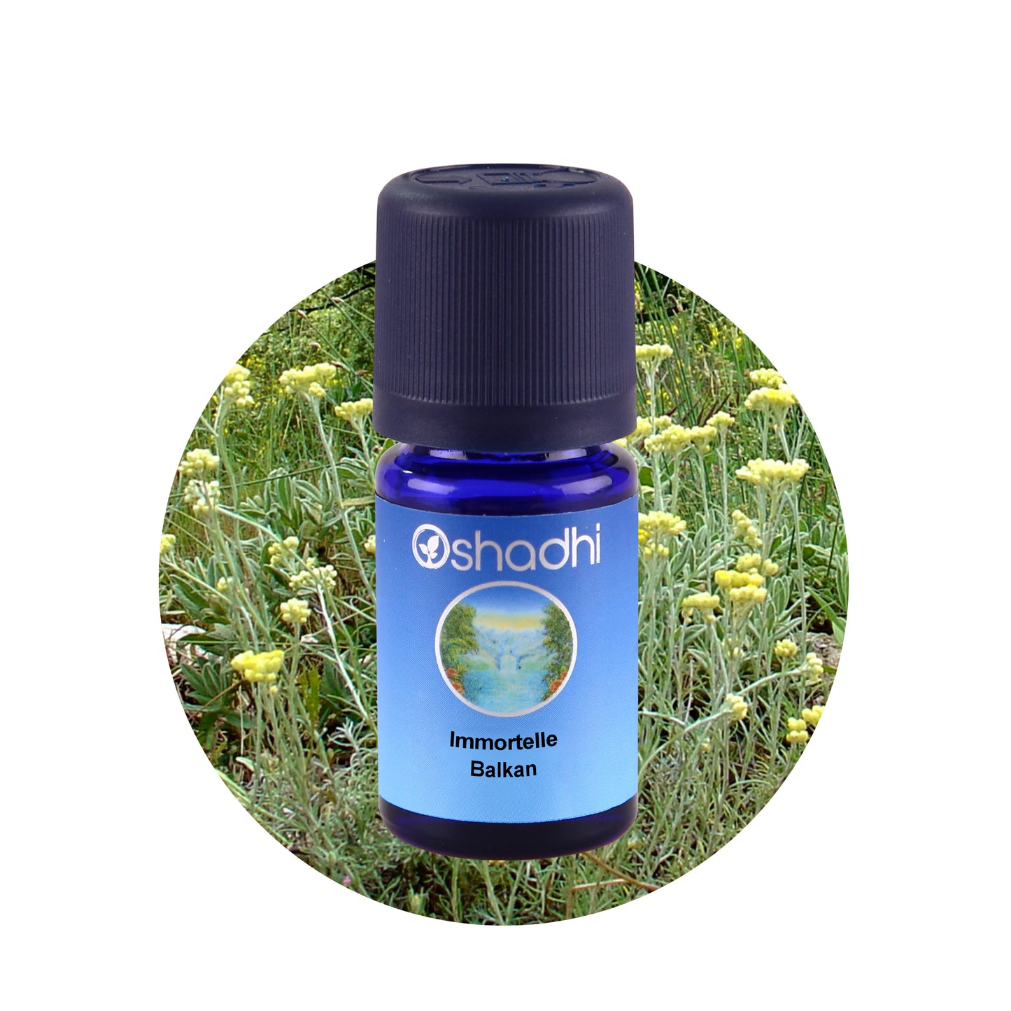 Immortellenöl Balkan bio