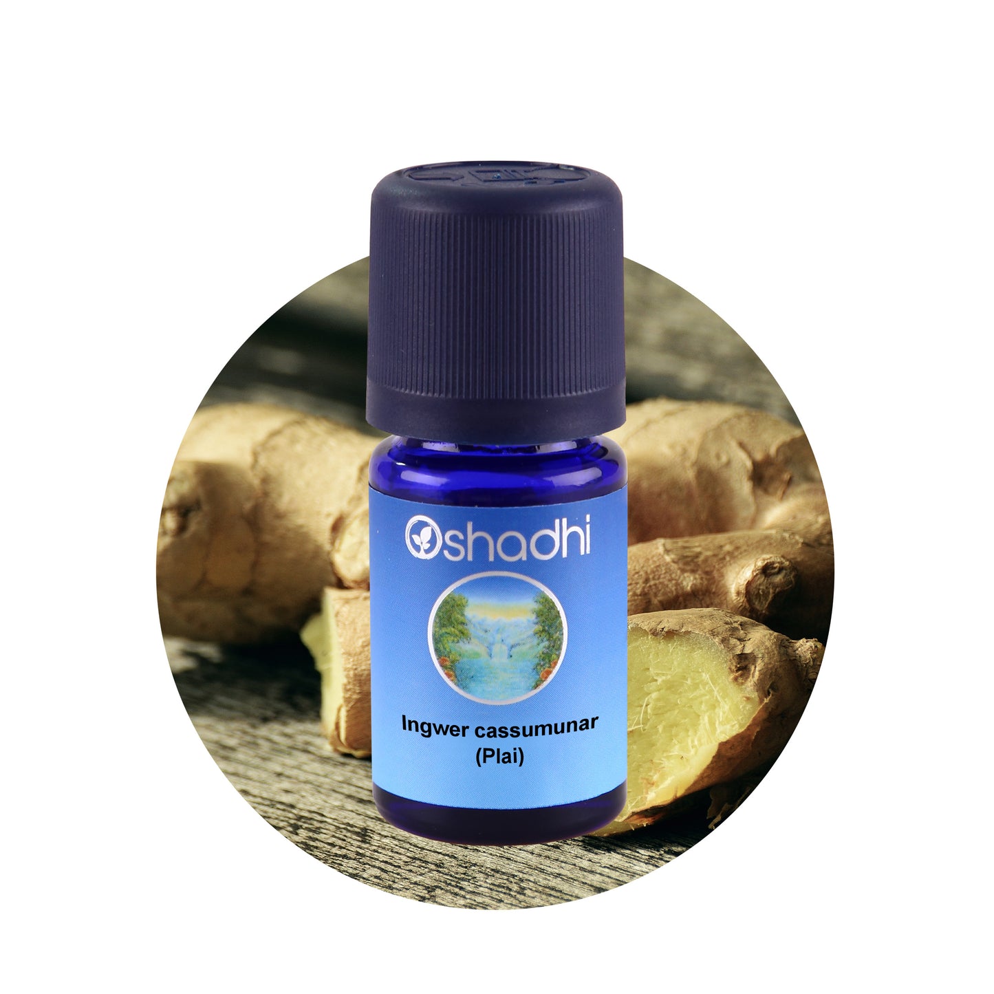 Ingweröl cassumunar (Plai)