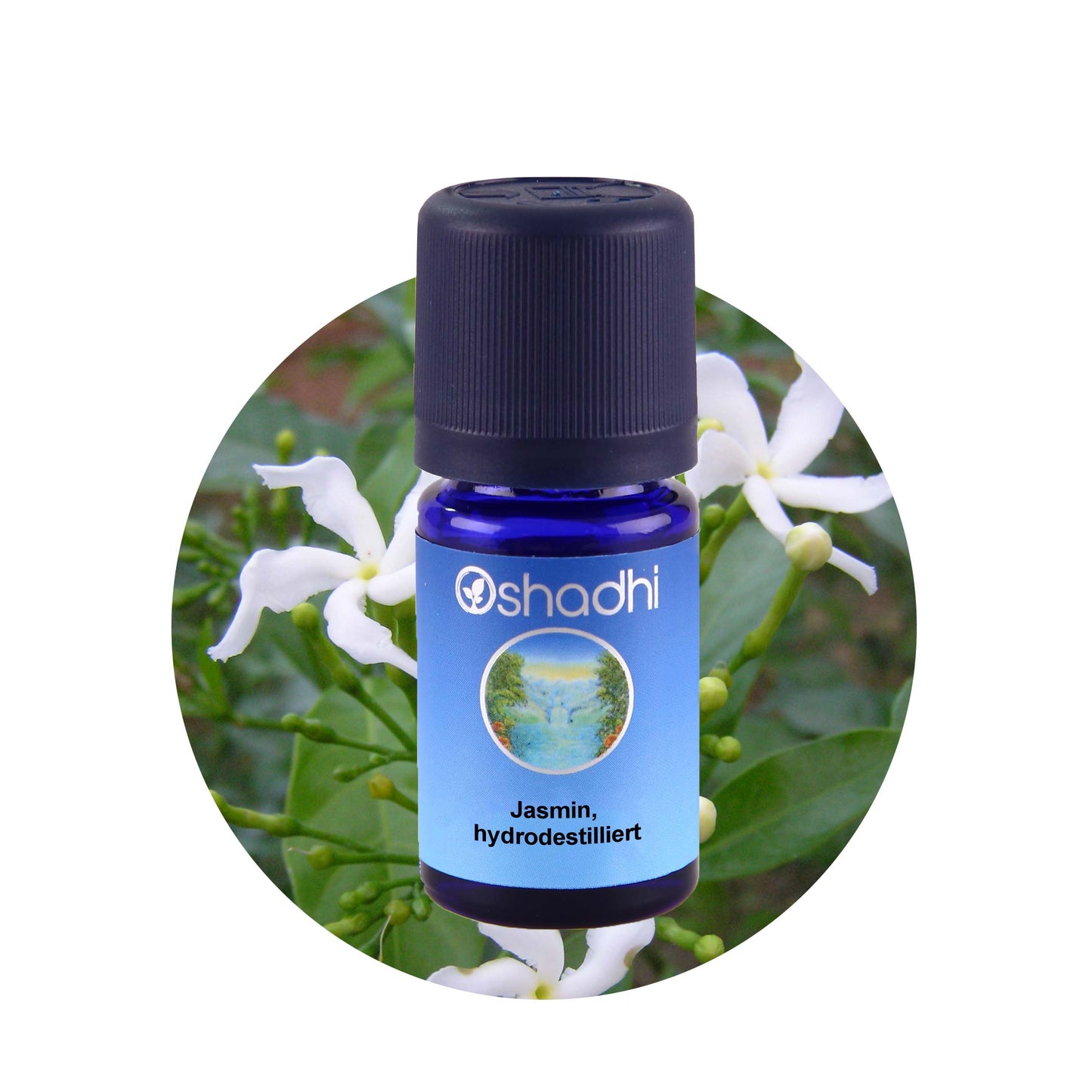 Jasminöl, hydrodestilliert