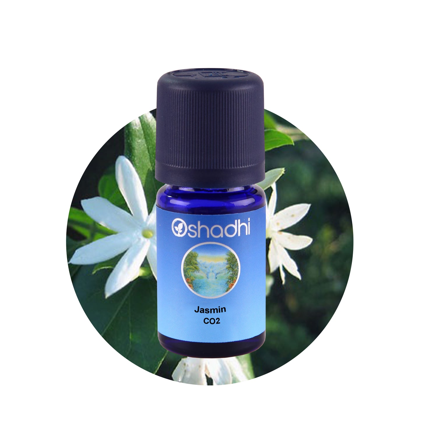 Jasminöl (CO2-Extrakt)