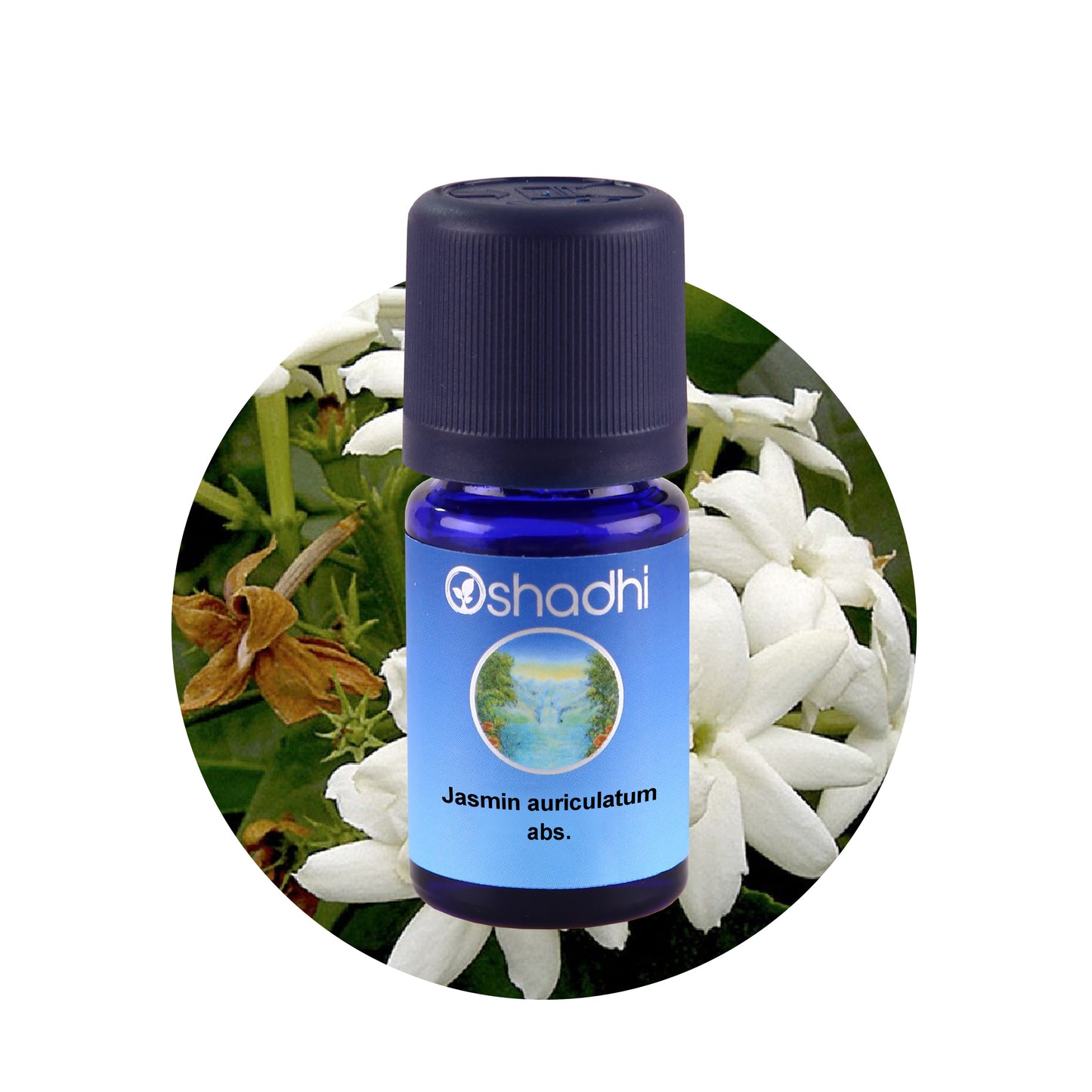Jasminöl auriculatum absolute