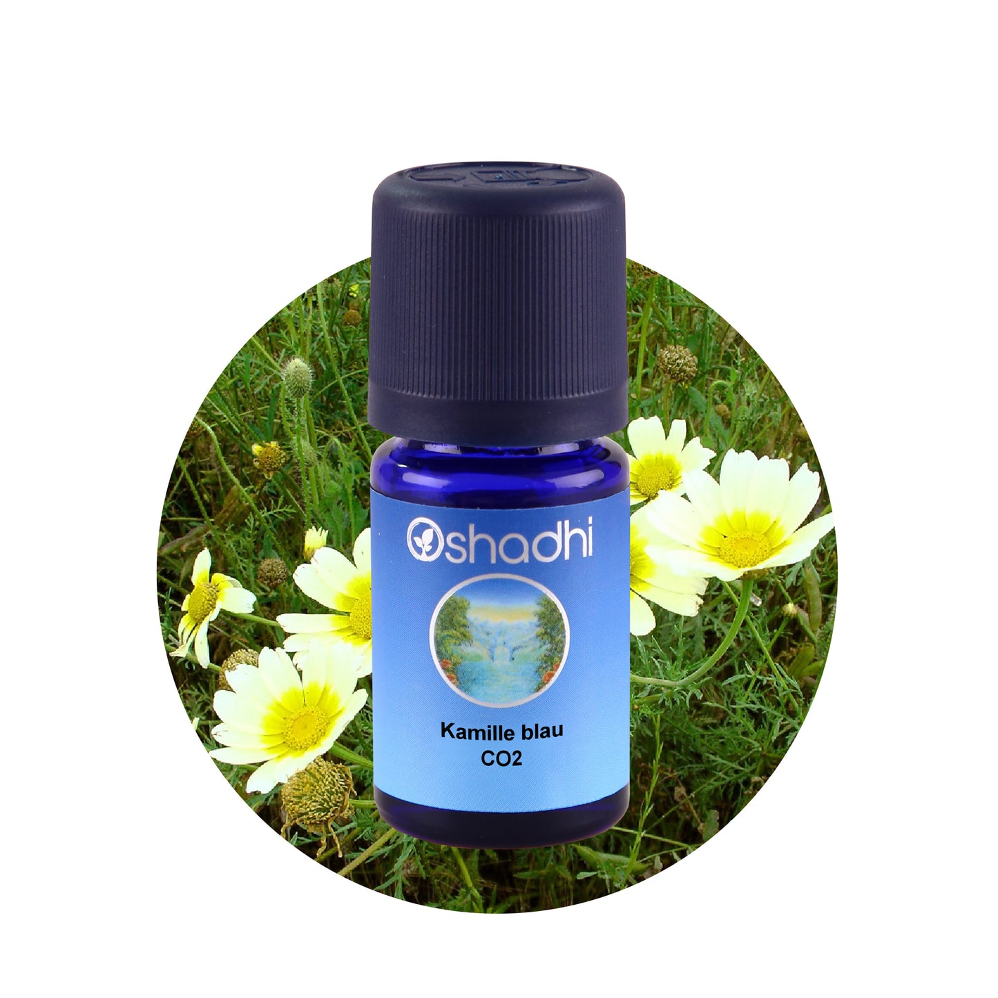 Kamilleöl blau CO2