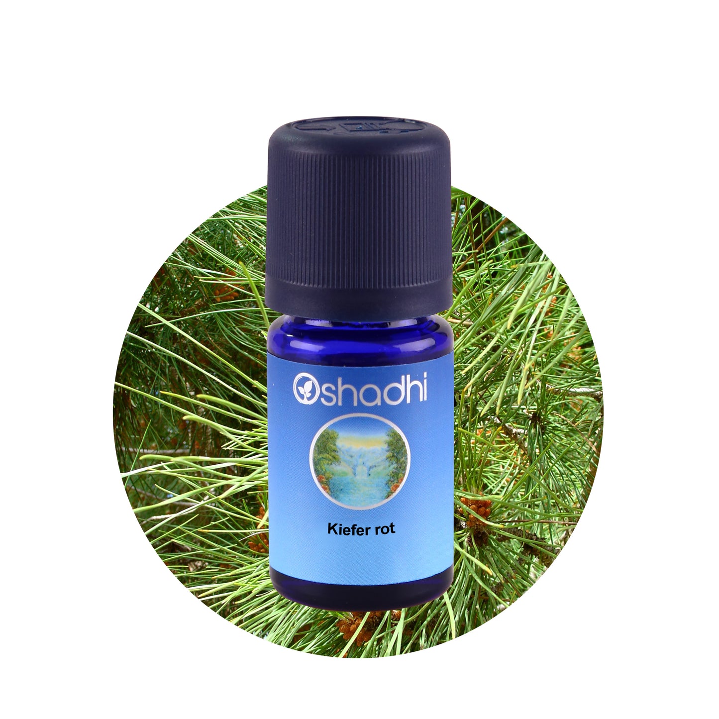 Kiefernöl rot