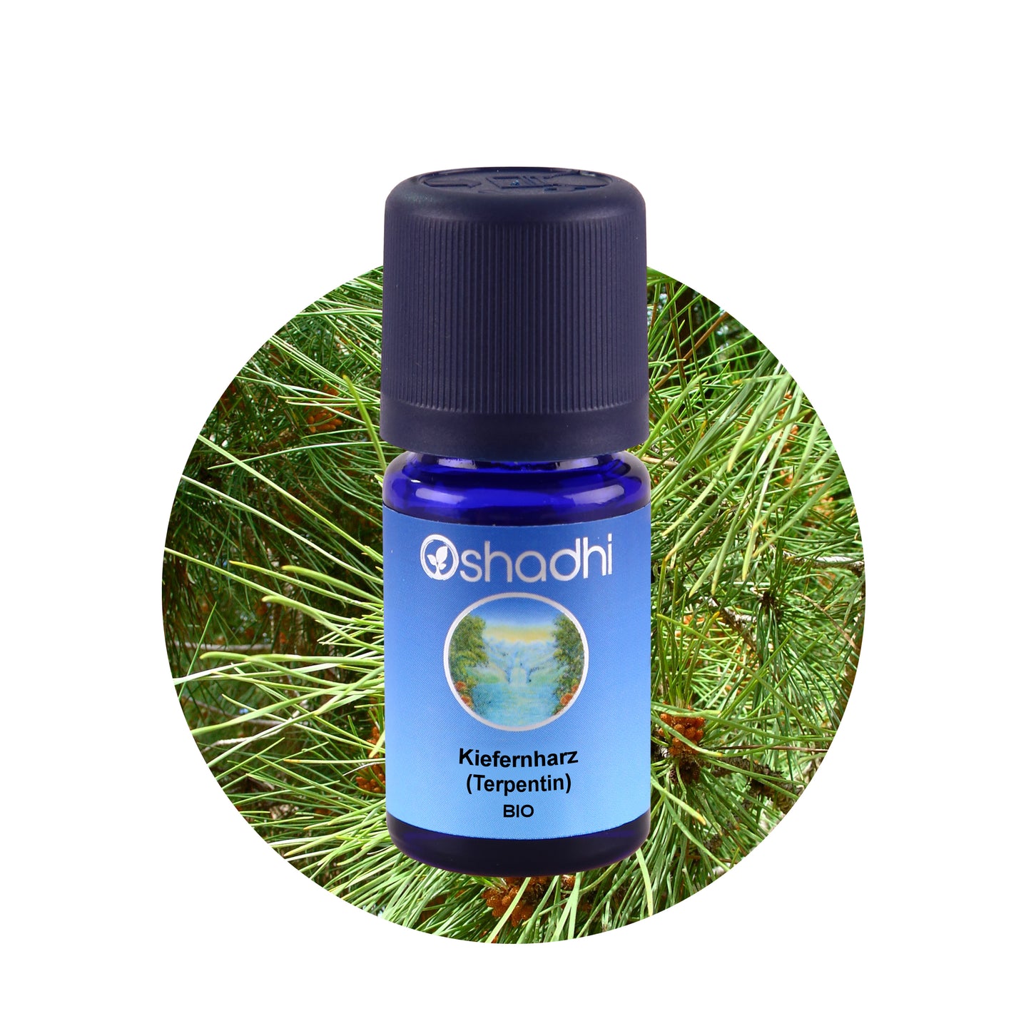 Kiefernharz-Öl bio (Terpentin)