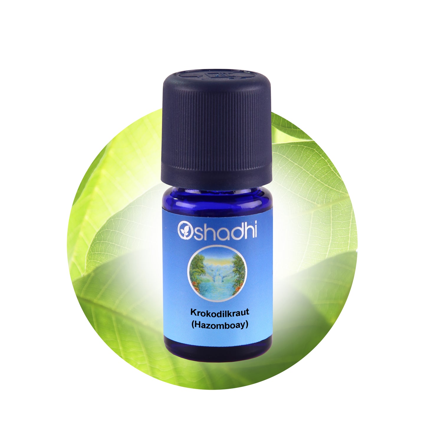 Krokodilkraut Öl (Hazomboay)