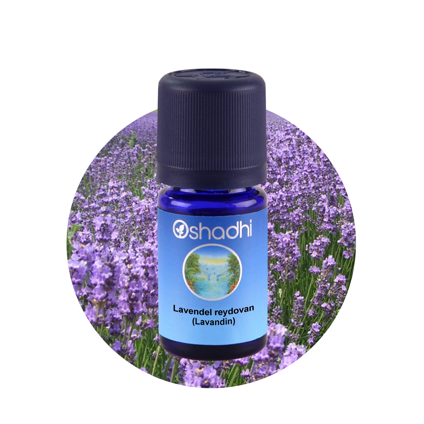 Lavandinöl reydovan