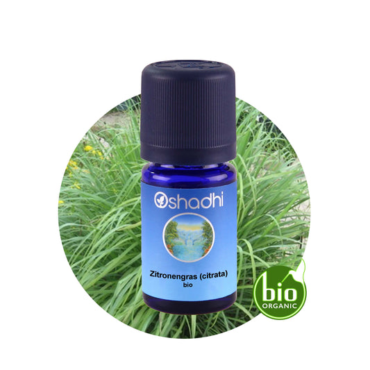 Zitronengras-Öl citratus bio (Lemongrass Öl)