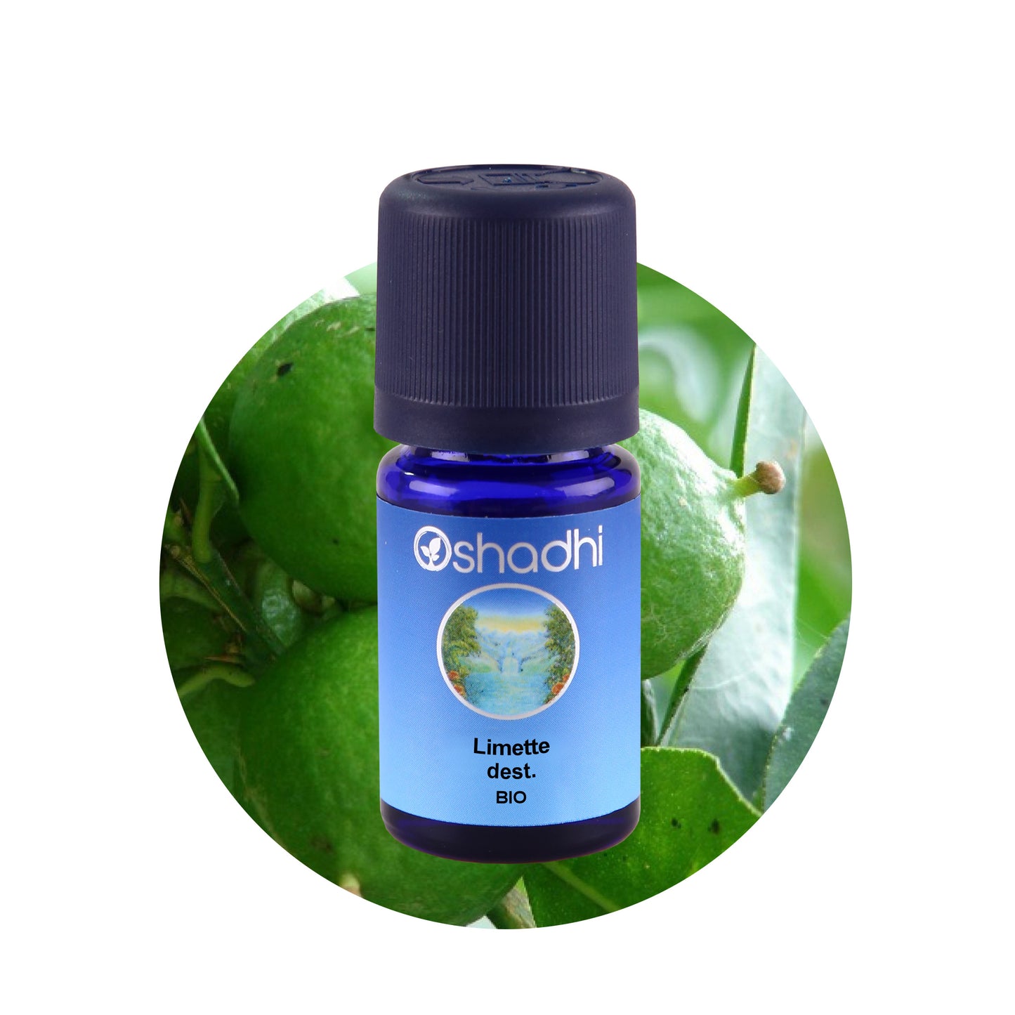 Limettenöl destilliert EU-Bio