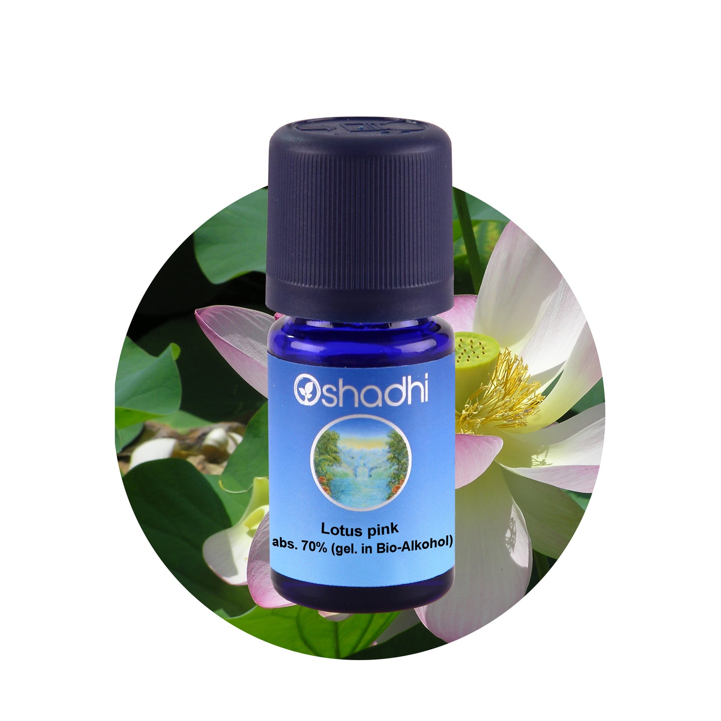 Lotusöl pink, absolute 70% (gel. in Bio- Alkohol)