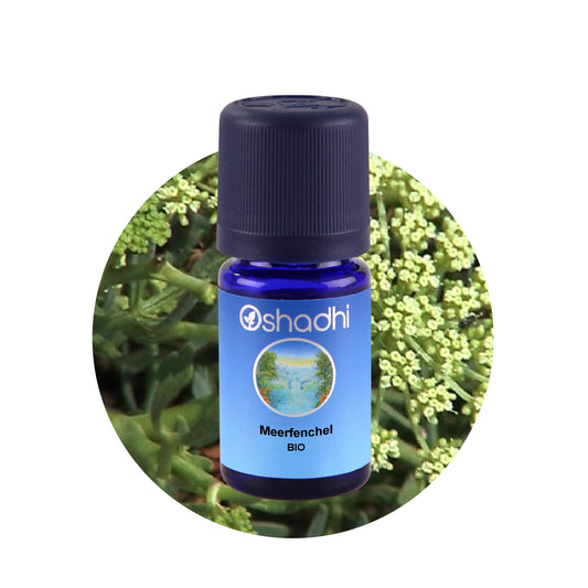 Meerfenchel-Öl EU-bio