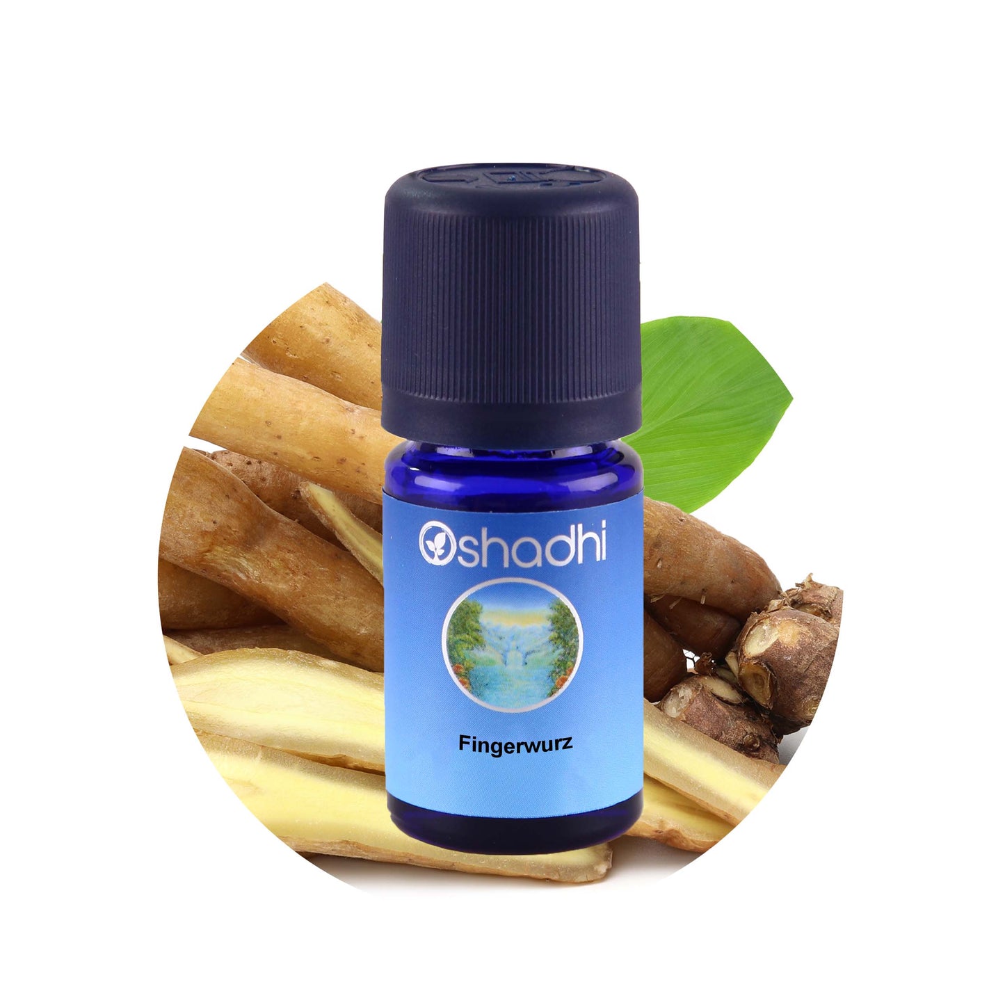 Fingerwurzöl