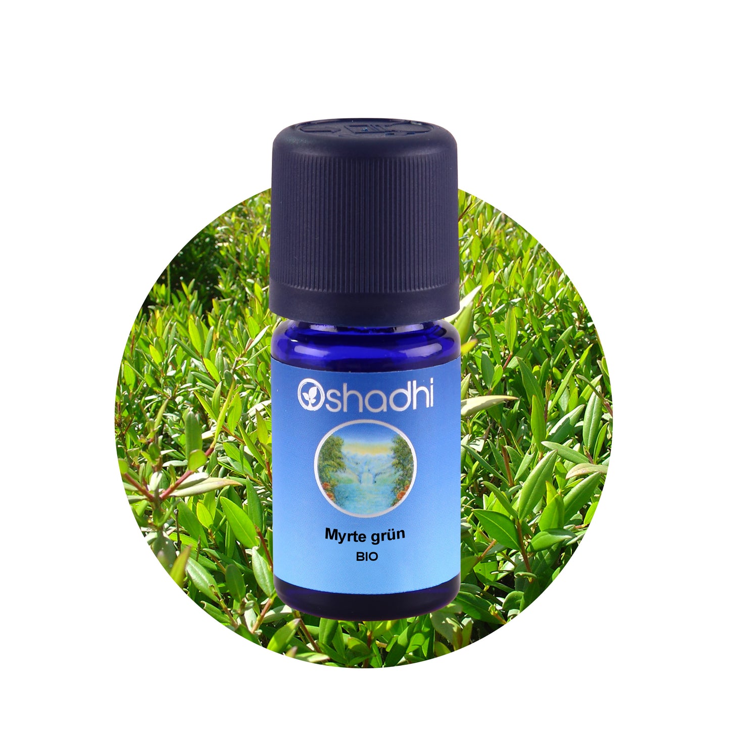 Myrtenöl grün EU-bio