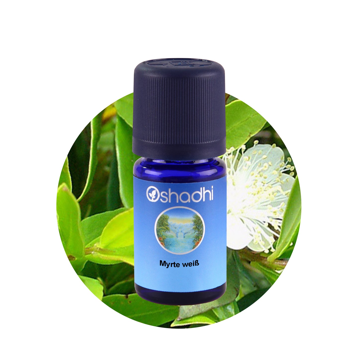 Myrtenöl weiß
