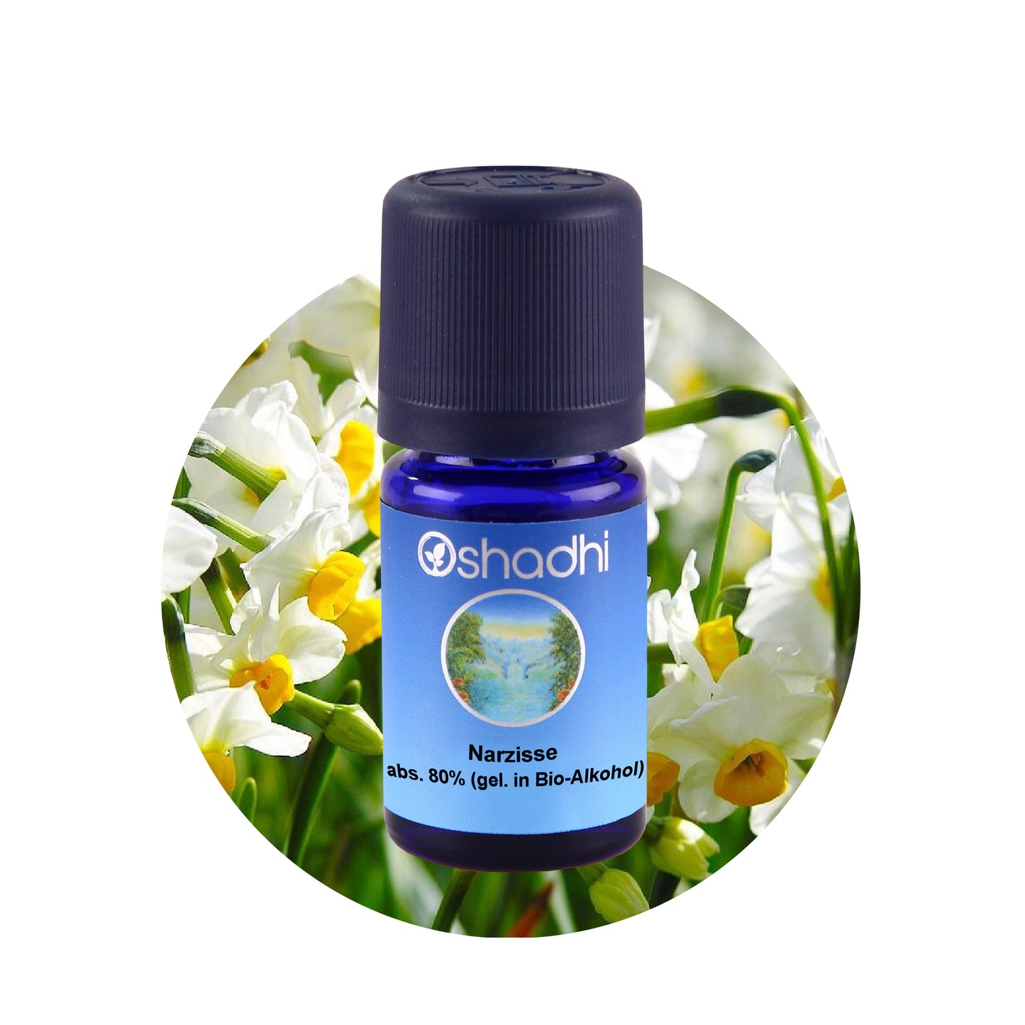 Narzissenöl, absolute 80% (gel. in Bio-Alkohol)
