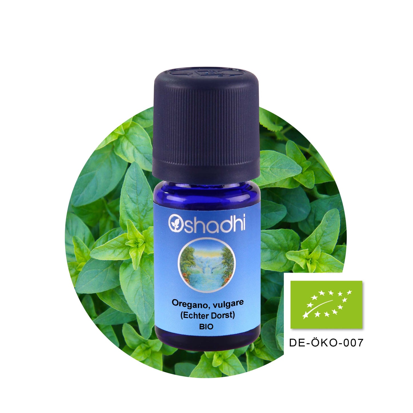 Oreganoöl vulgare (Echter Dost) EU-bio