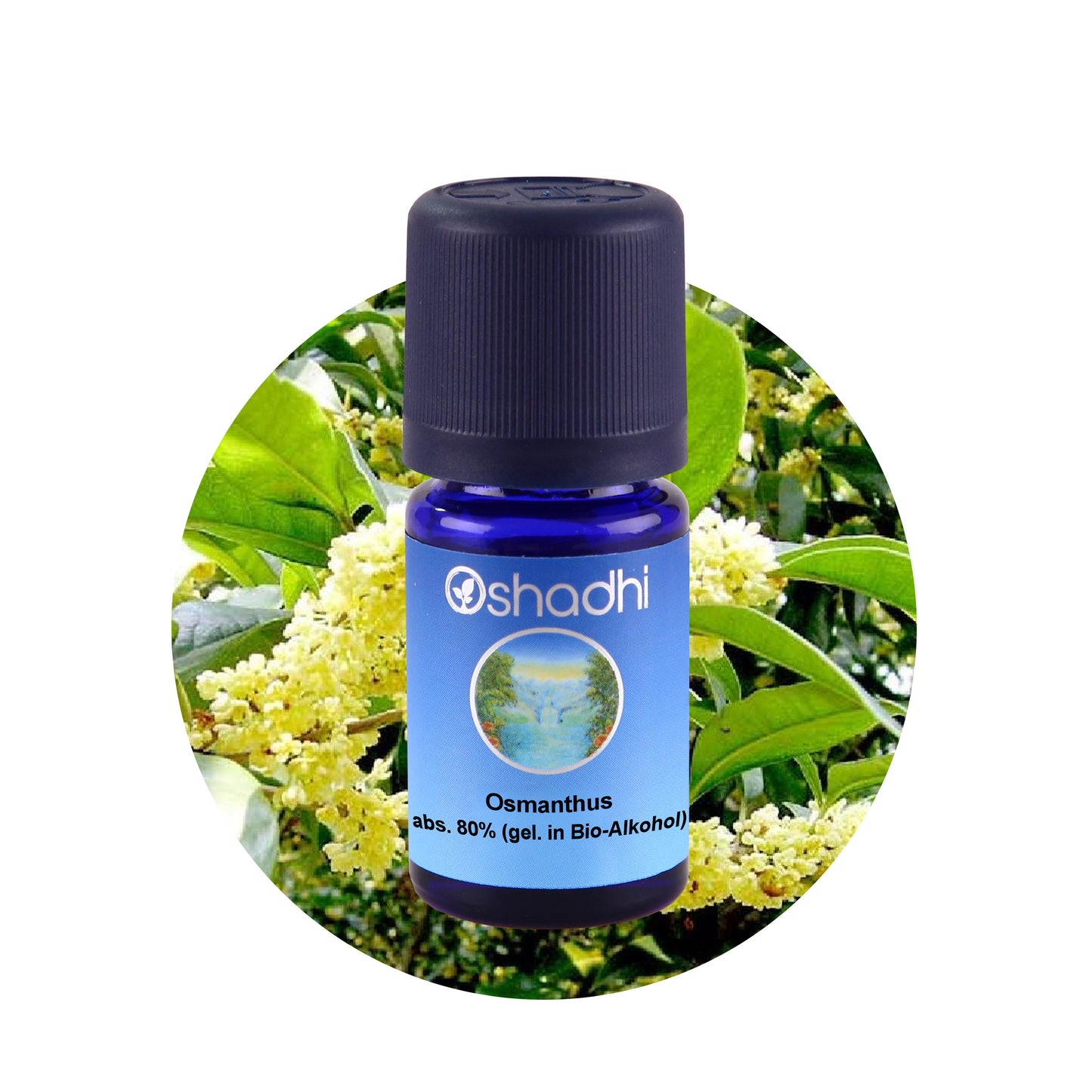 Osmanthusöl absolute (80% gel. in Bio-Alkohol)