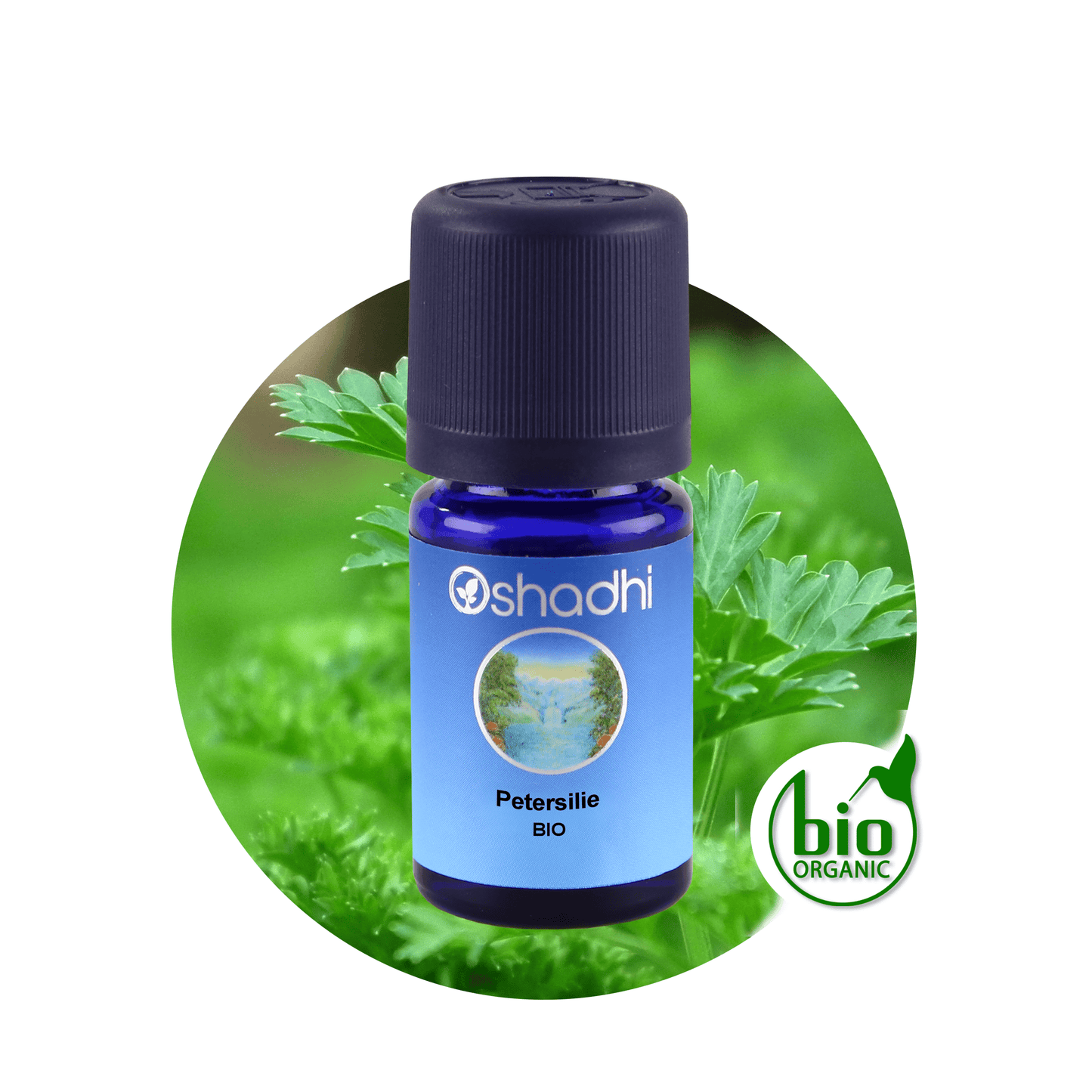 Petersilienöl bio