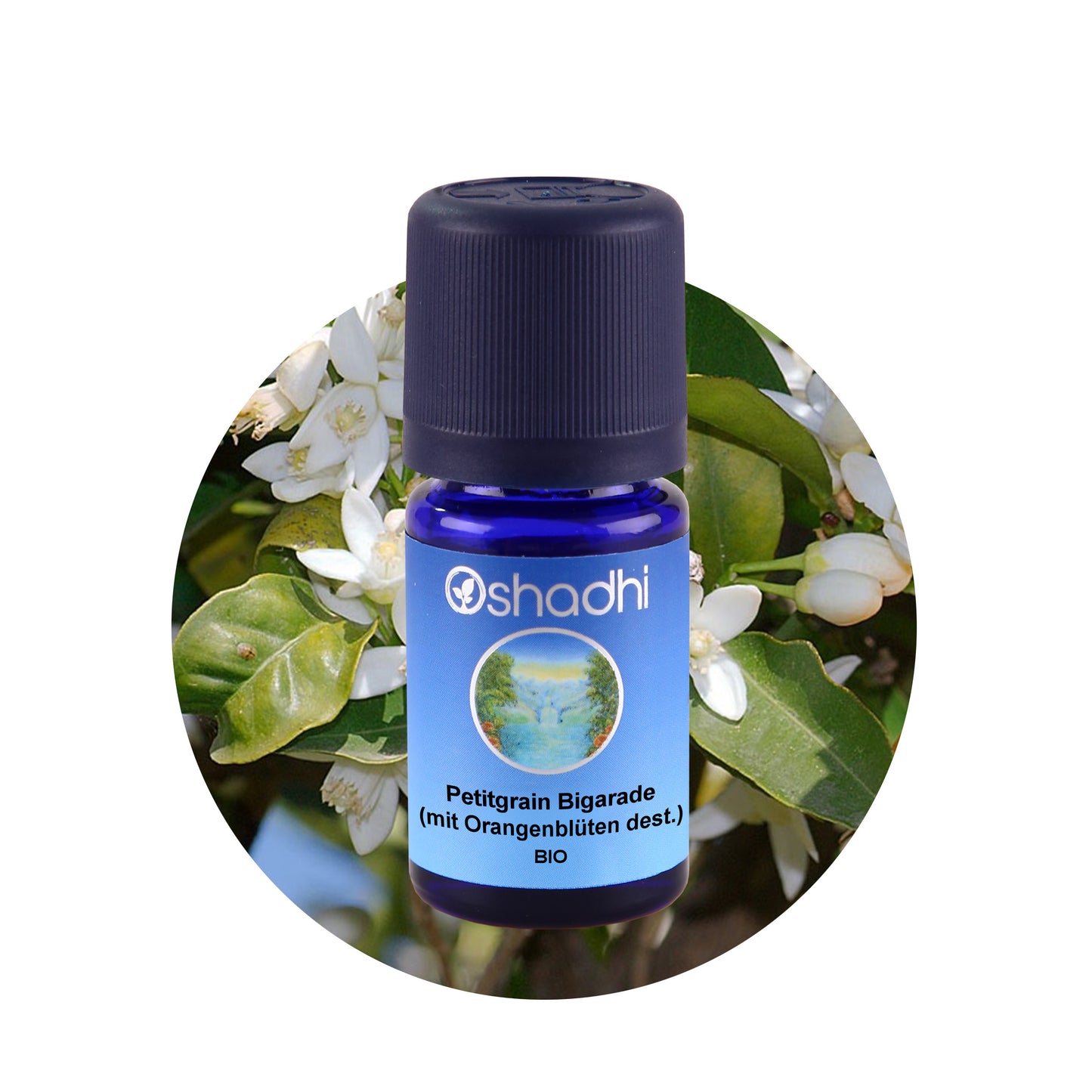 Petitgrain Bigarade bio (mit Orangenblüten destilliert)