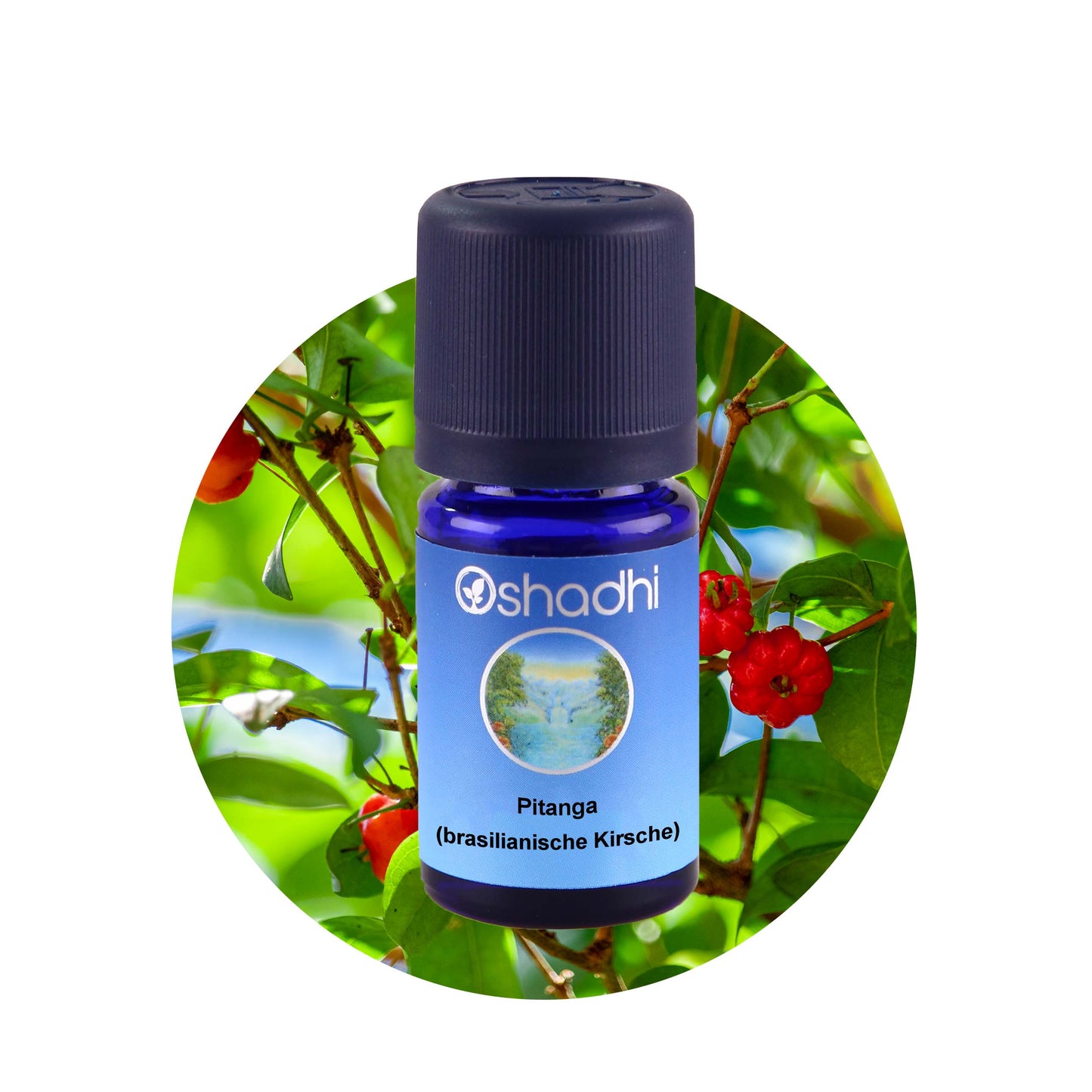 Pitanga Öl (brasilianische Kirsche)